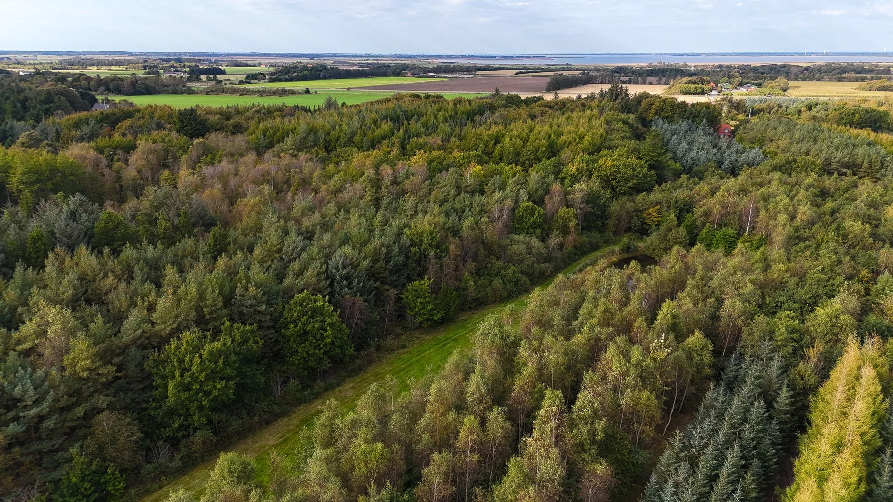 DJI_20250928160610_0039_D.jpg
