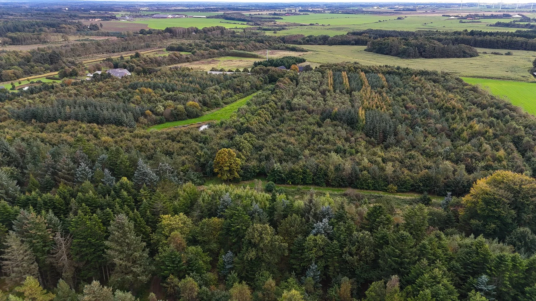 DJI_20250928153815_0034_D.jpg