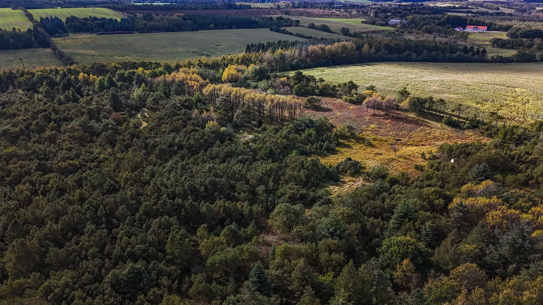 DJI_20250928133418_0018_D.jpg