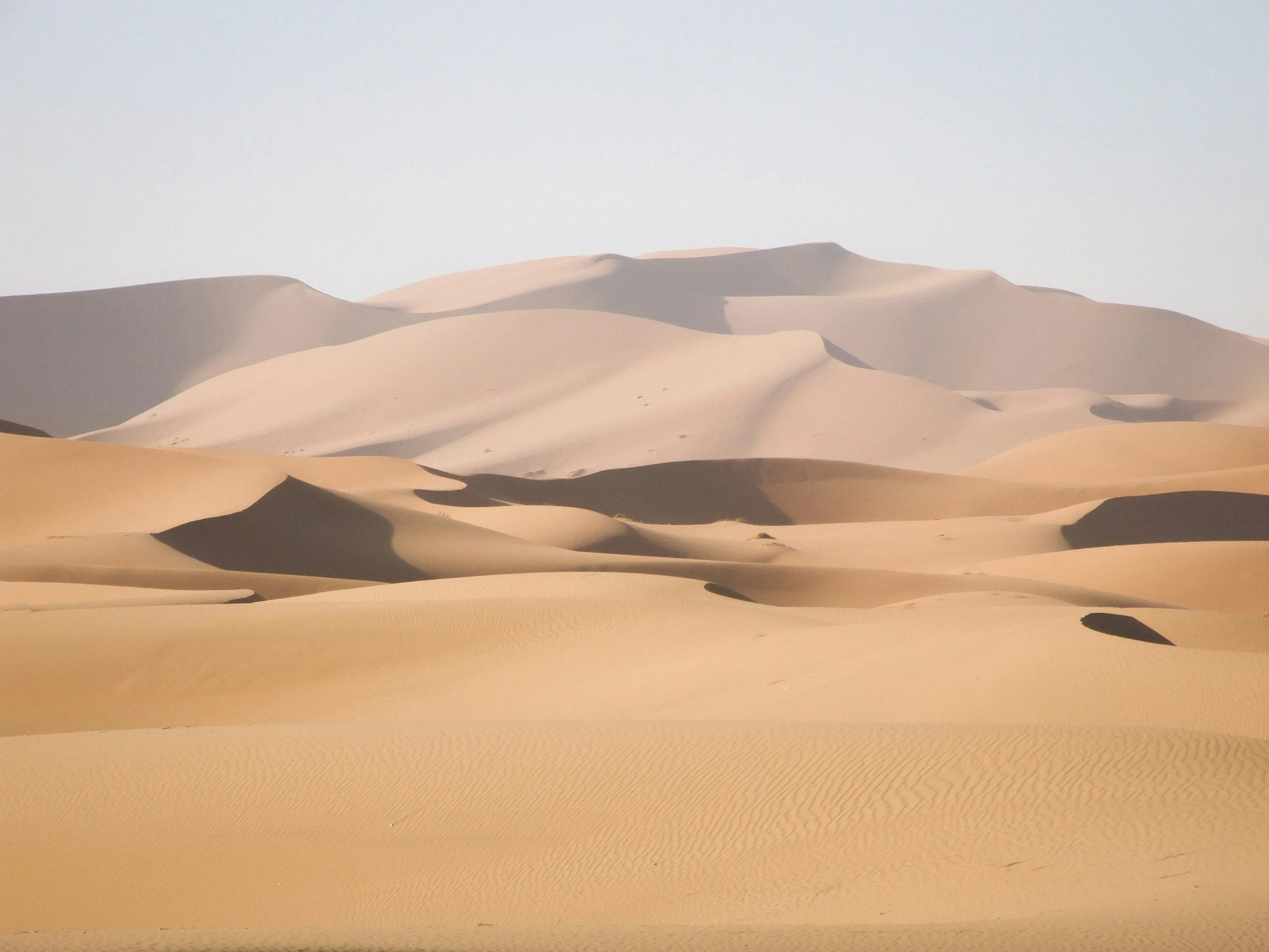 Dunes de sable dans un désert avec un ciel clair.