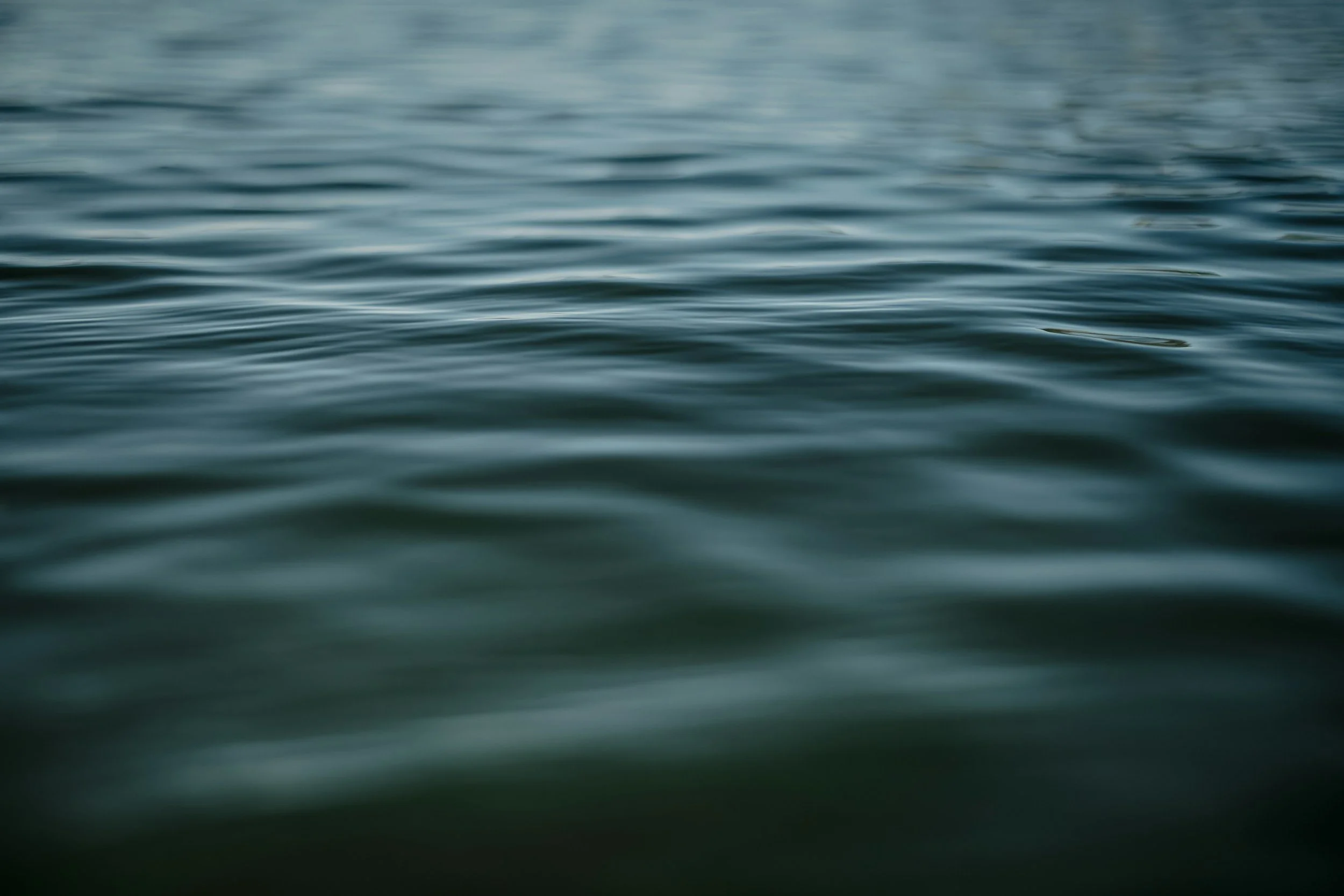 Surface d'eau calme avec de petites ondulations.