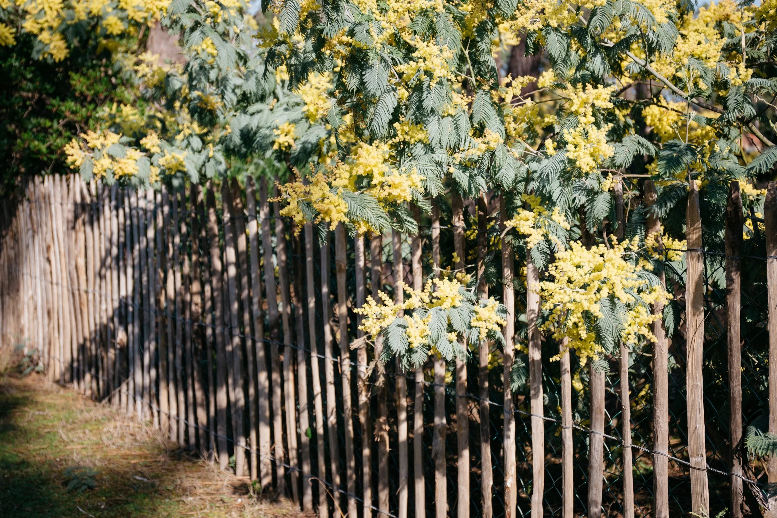 Massage signature Beroa (1h20) - parcours 1h55