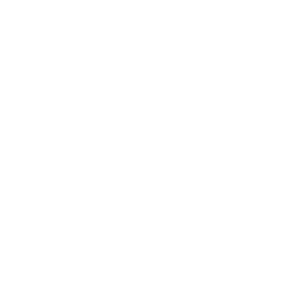 Black and white logo featuring stylized letters V, S, and G inside a circle, with a triangle shape pointing downward.