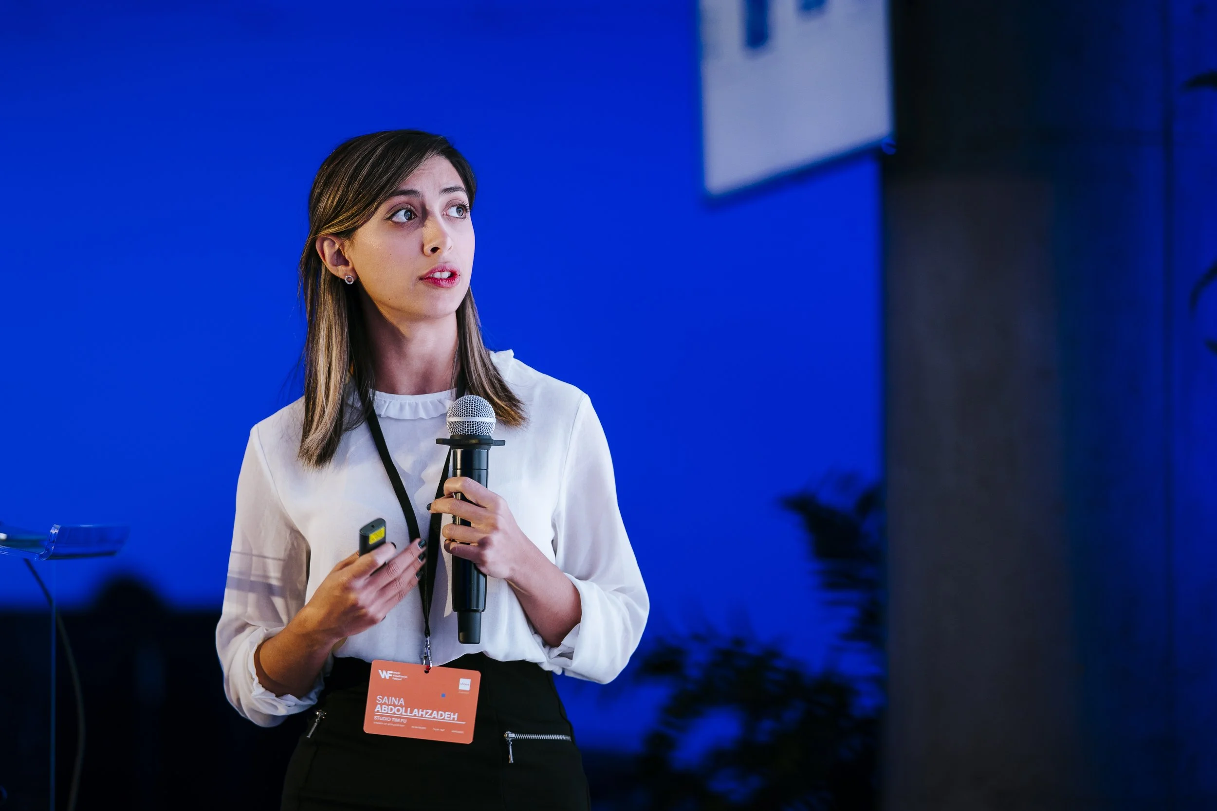 World Visualisation Festival