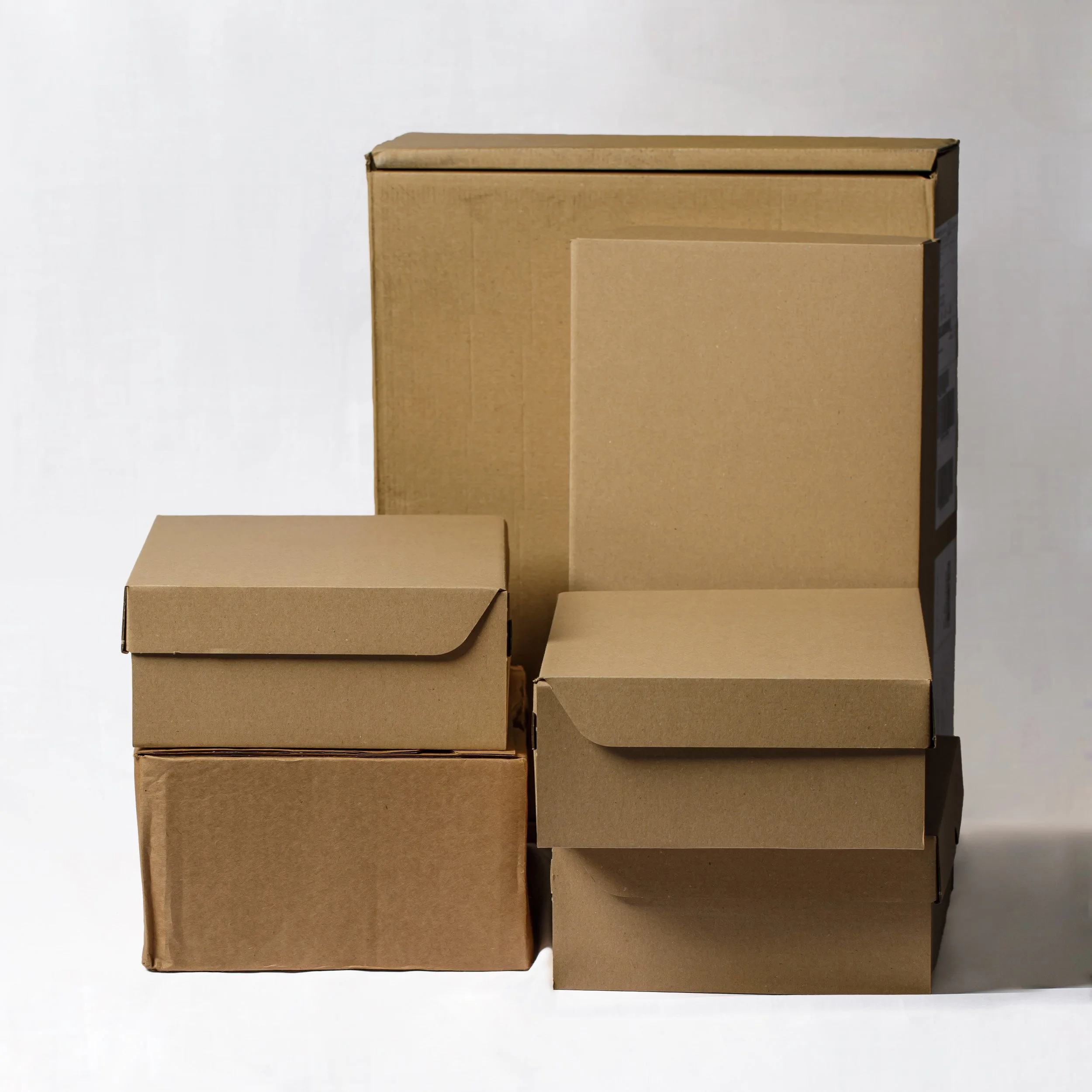 Servicios de Life Atelier - Servicios, Organización, Edición transicional