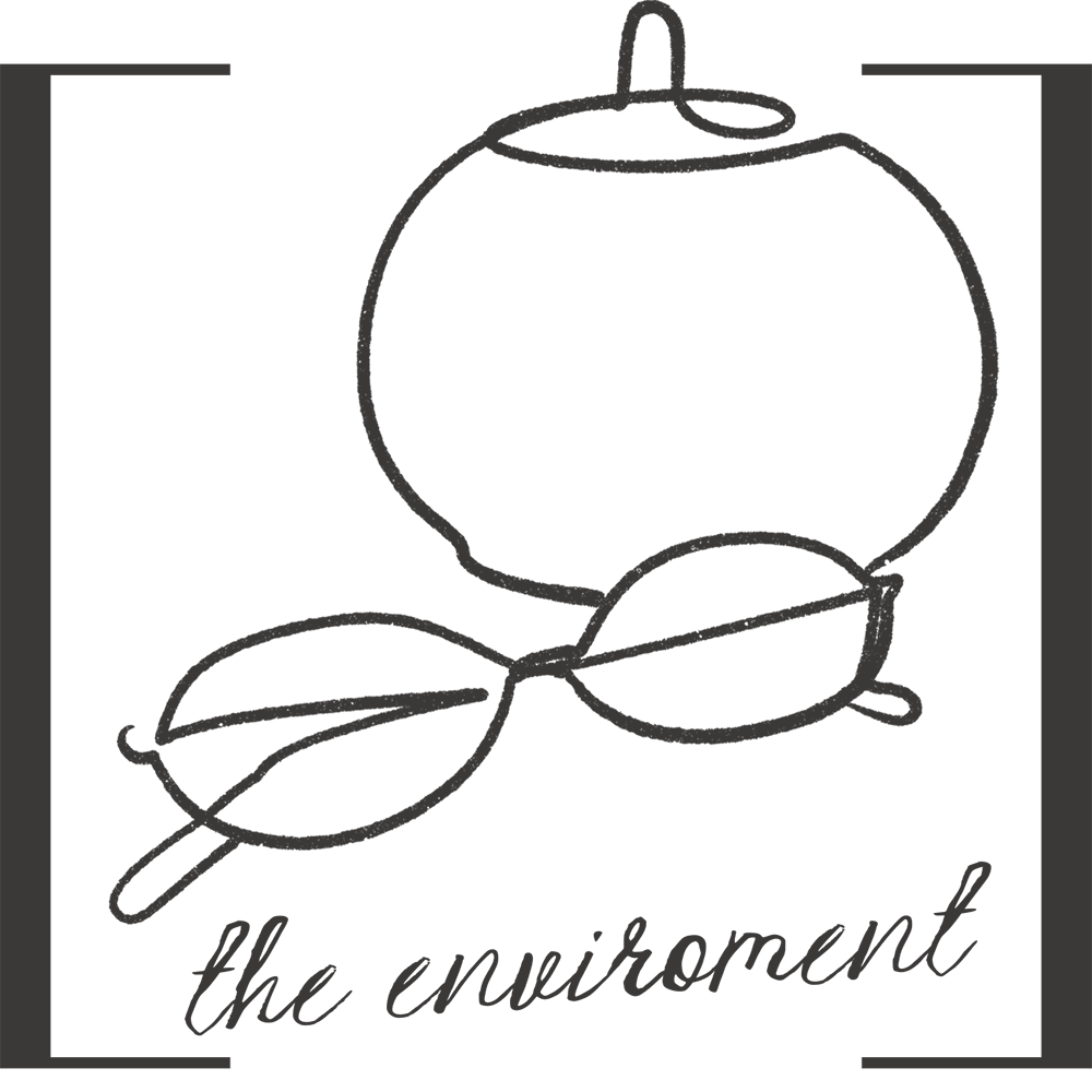 Life Atelier Services – Organising (The Environment)