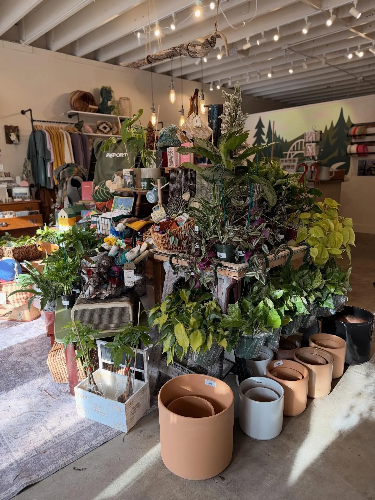 The shop is looking so good today. Fresh restocks, cozy finds and all the little things that make errands worth it. Come wander Umpqua Trading Co.