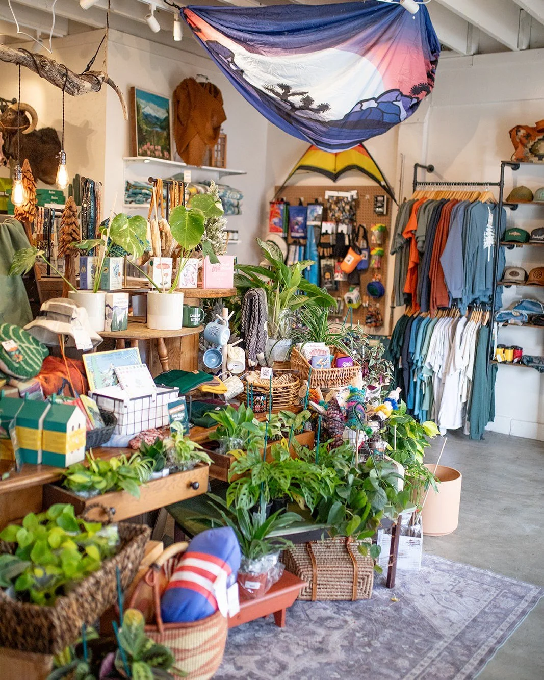 This is what slow wandering looks like. Plants tucked into corners, textures you want to touch, and pieces meant to be used and loved. Come browse, linger, and find something that feels like you. Open Wednesday - Saturday 10-4pm Sunday 10-3pm 

457 F