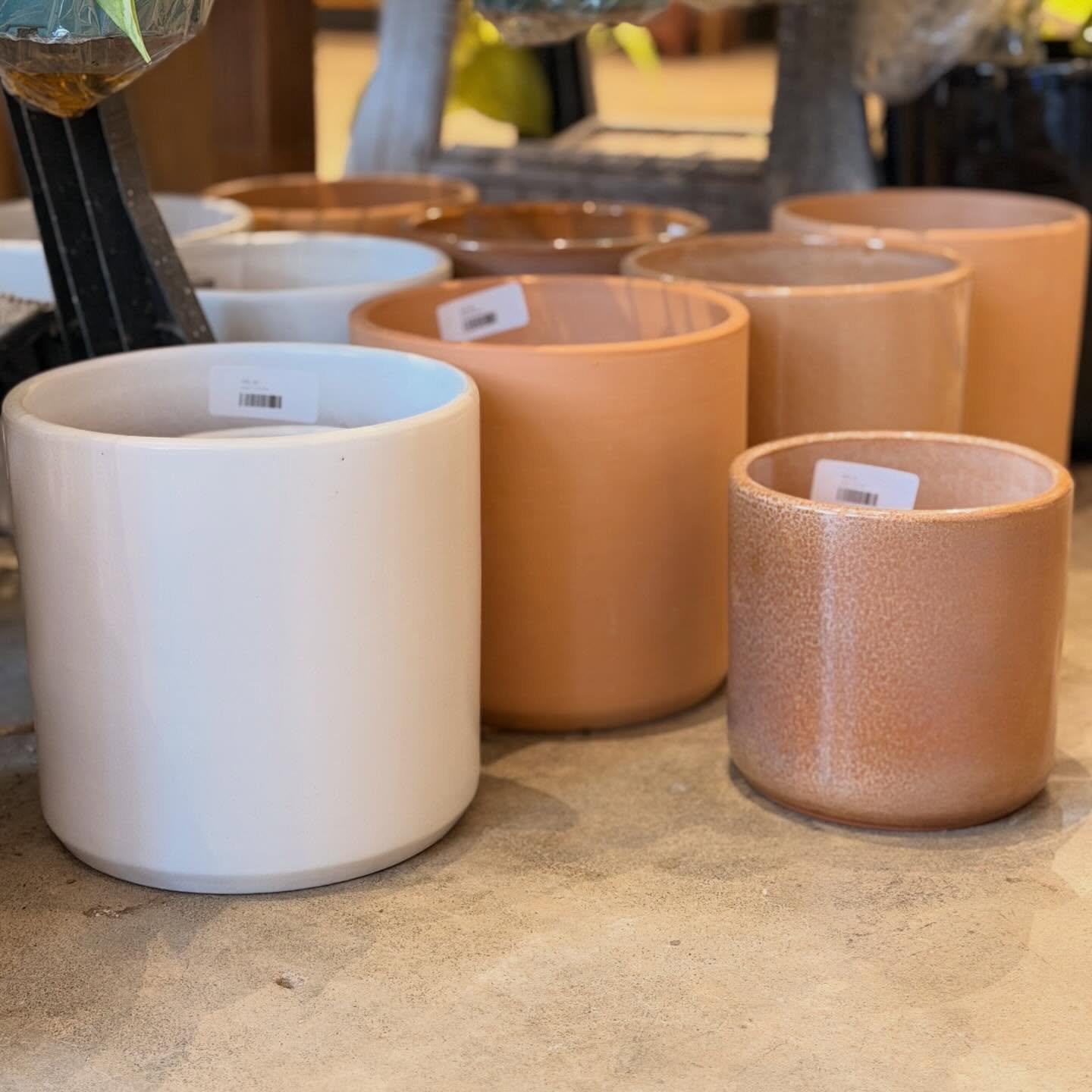 We have some pots in and they are kicking off the spring season at 30% off ❤️👏 open 10-3pm Sundays!