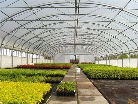 Summer on the Farm: Abundance, Hard Work, and Fresh Ideas