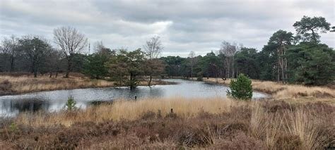 IMG_0059.jpeg