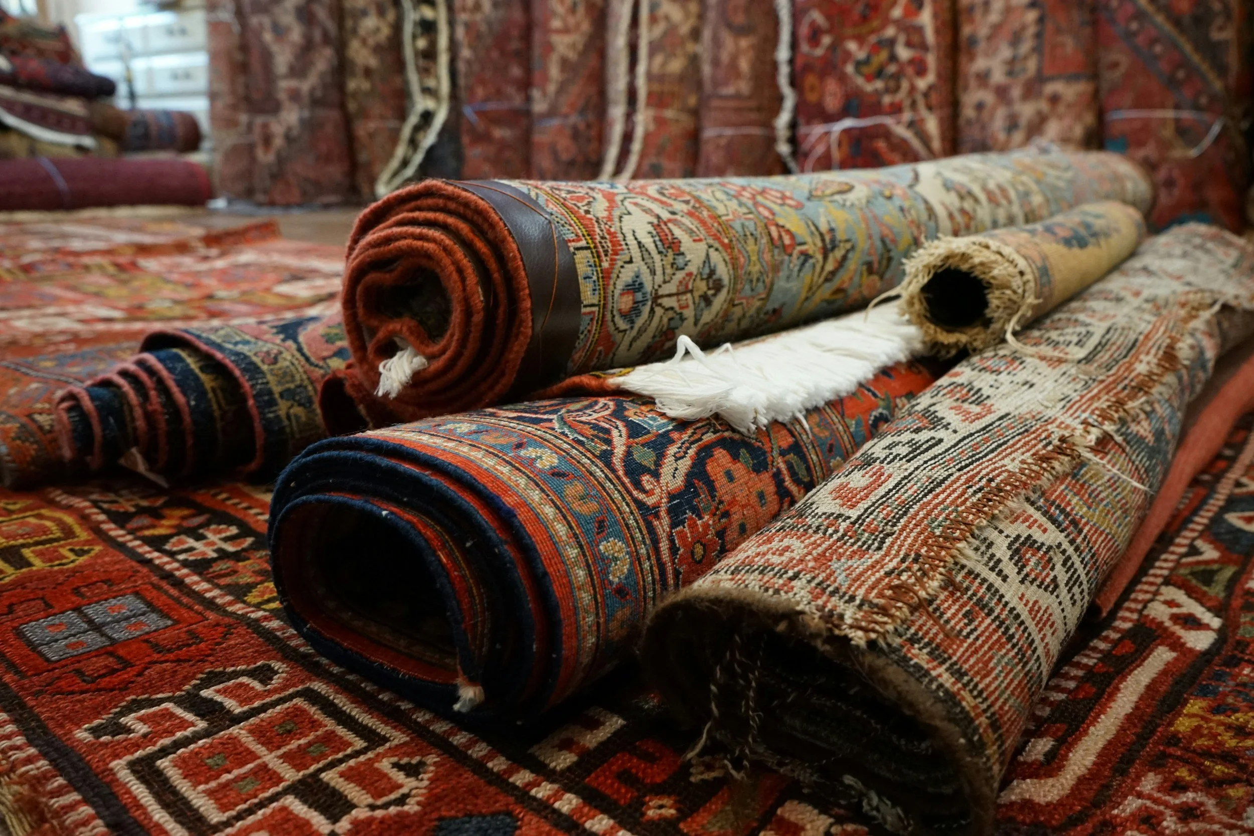 Dana Kelly Oriental Rugs