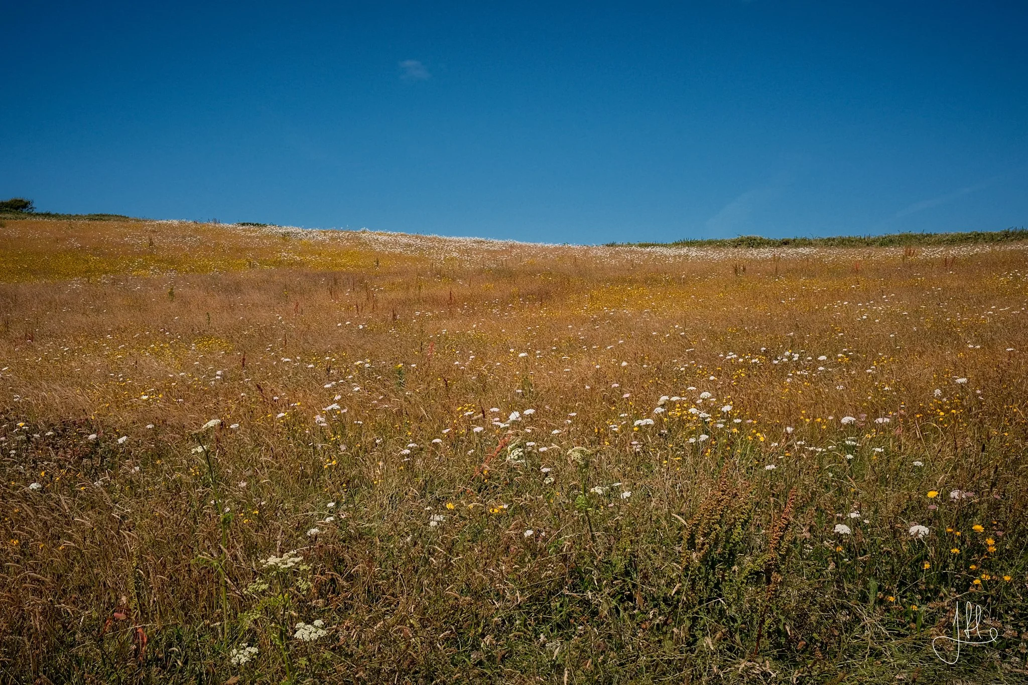 DSCF9873.JPG