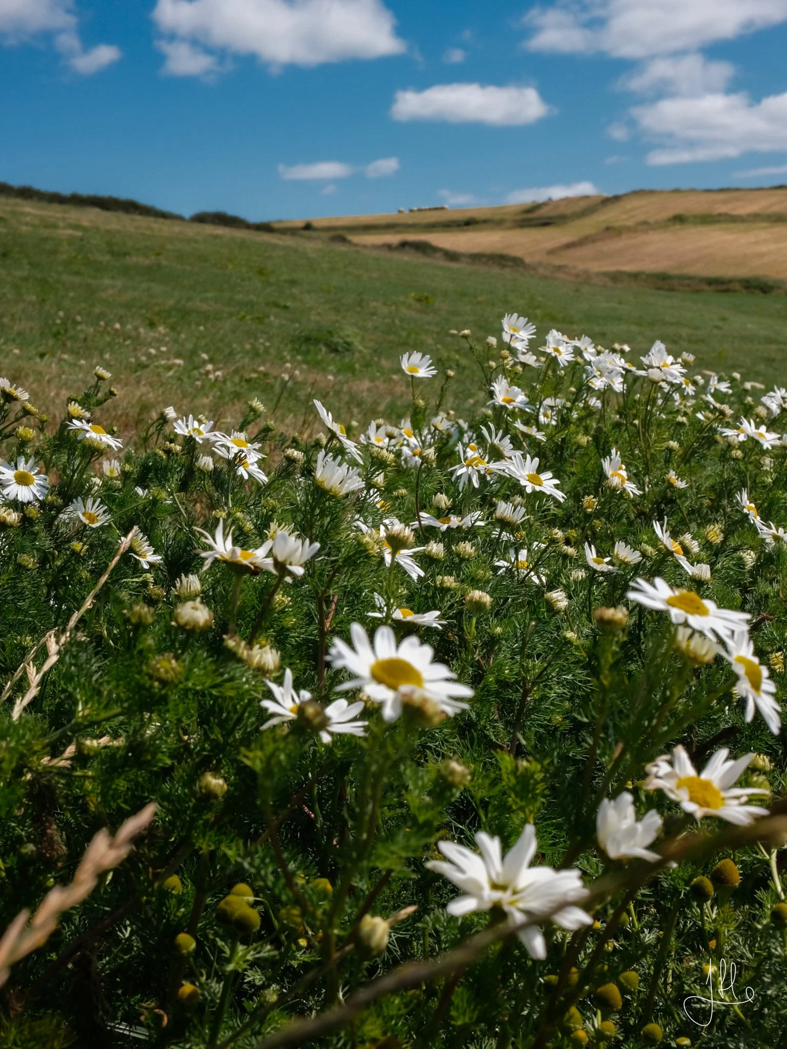 DSCF9868.JPG