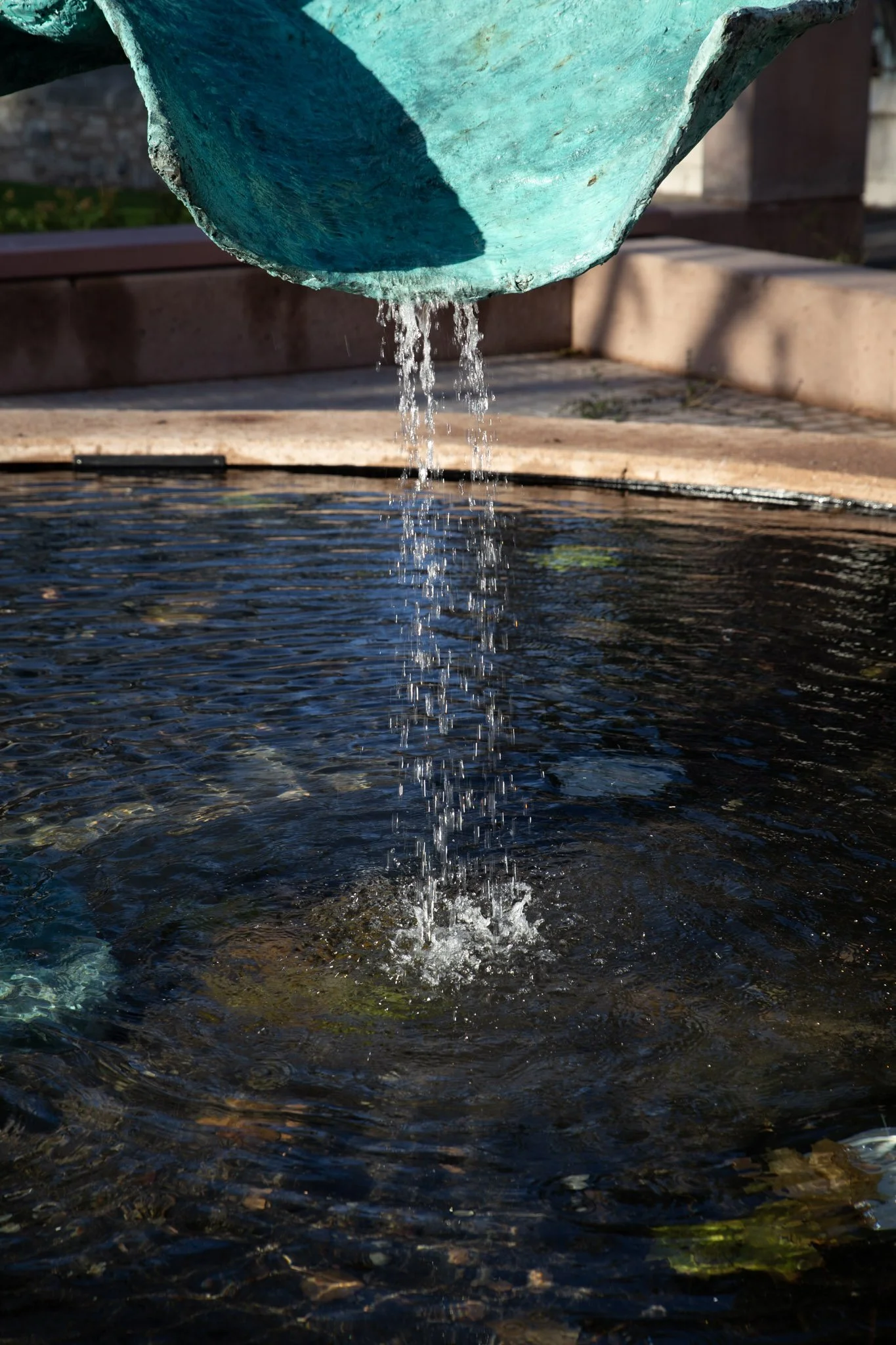 10-IMG_0920.jpg