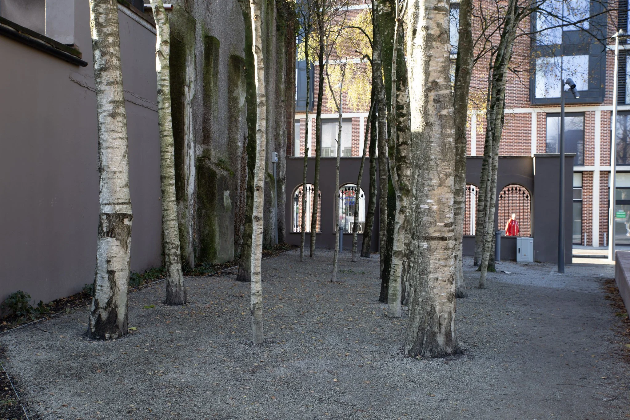 2-IMG_0898.jpg