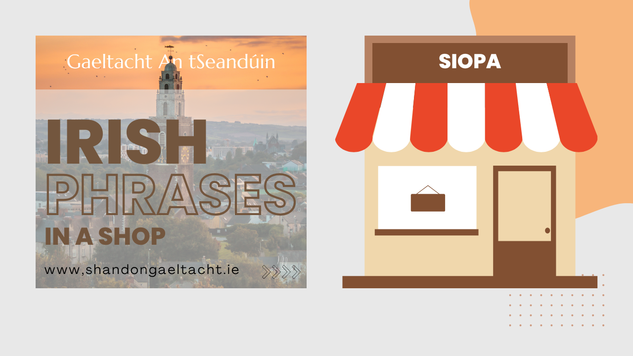 Irish Phrases in a Shop