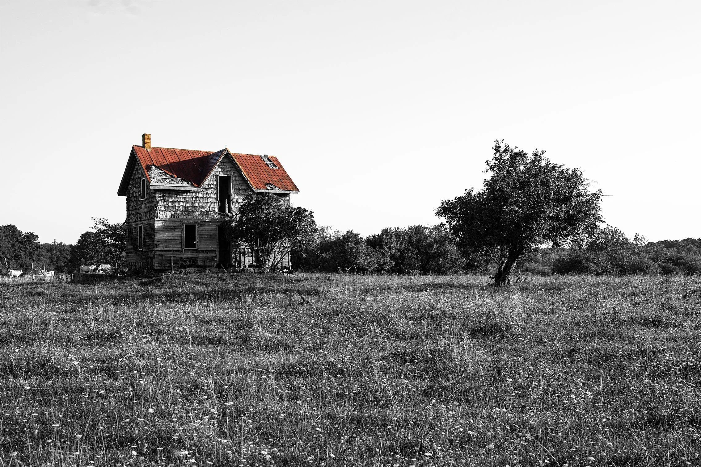 Red Roof Blue Mountain.jpg