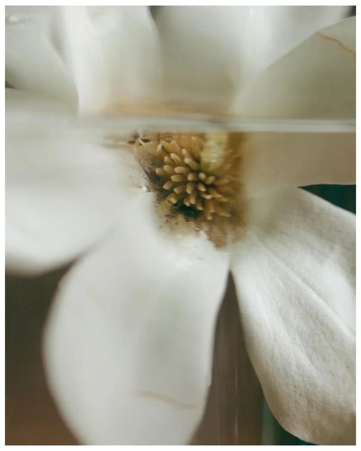 Some Days Grief Is Just A Room I’m Sitting In.