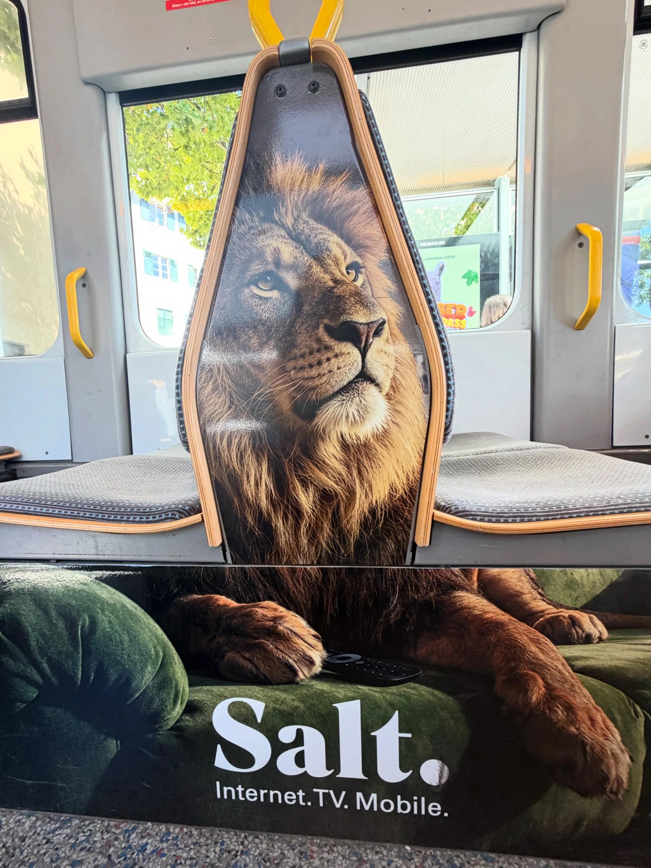 &bdquo;S&rsquo;beschti Internet f&uuml;r Z&uuml;ri&ldquo;... Konzeption und Umsetzung von Jahres-Tram f&uuml;r Salt Home in Z&uuml;rich.
.
.
.
#z&uuml;rich #zoo #saltmobile #konzeption