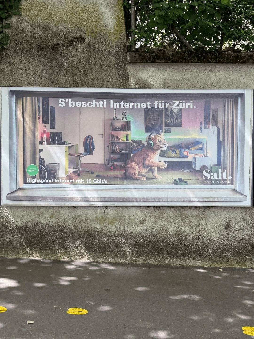 "S&rsquo;beschti Internet f&uuml;r Z&uuml;ri"... Konzeption und Umsetzung von Jahresplakatstellen f&uuml;r Salt Home beim Zoo Z&uuml;rich.
.
.
.
#z&uuml;rich #zoo #saltmobile #konzeption