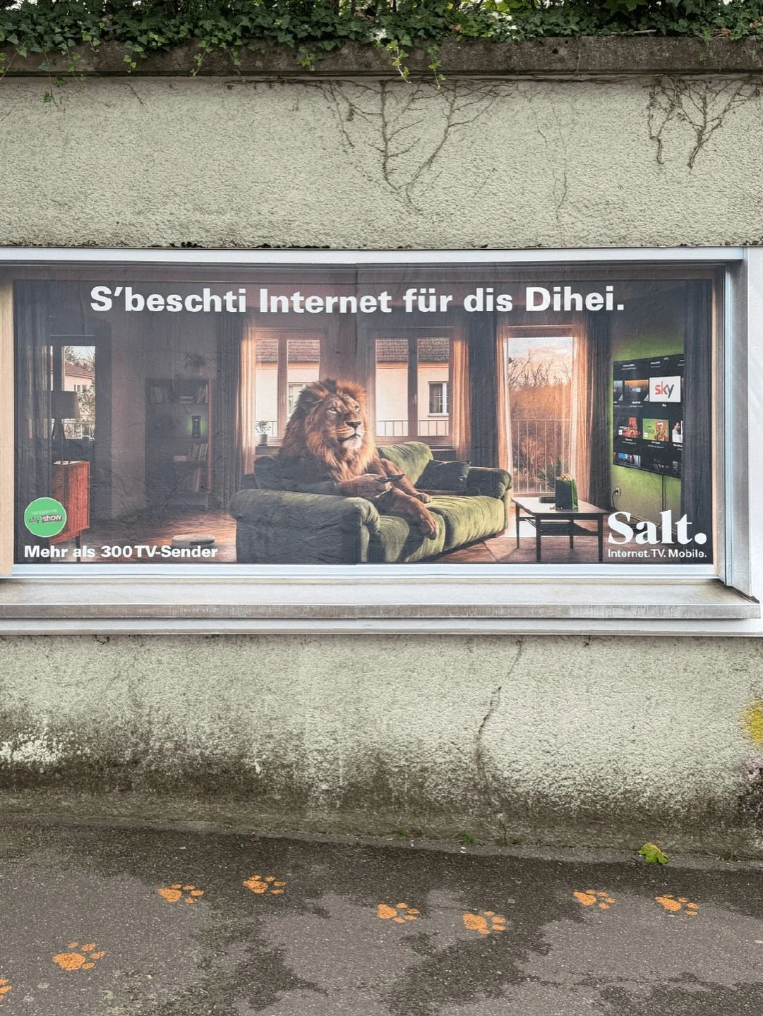 "S&rsquo;beschti Internet f&uuml;r Z&uuml;ri"... Konzeption und Umsetzung von Jahresplakatstellen f&uuml;r Salt Home beim Zoo Z&uuml;rich.
.
.
.
#z&uuml;rich #zoo #saltmobile #konzeption