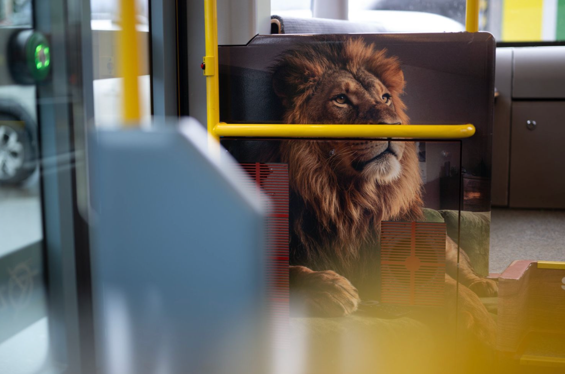 Für Züri nume s'Beschti