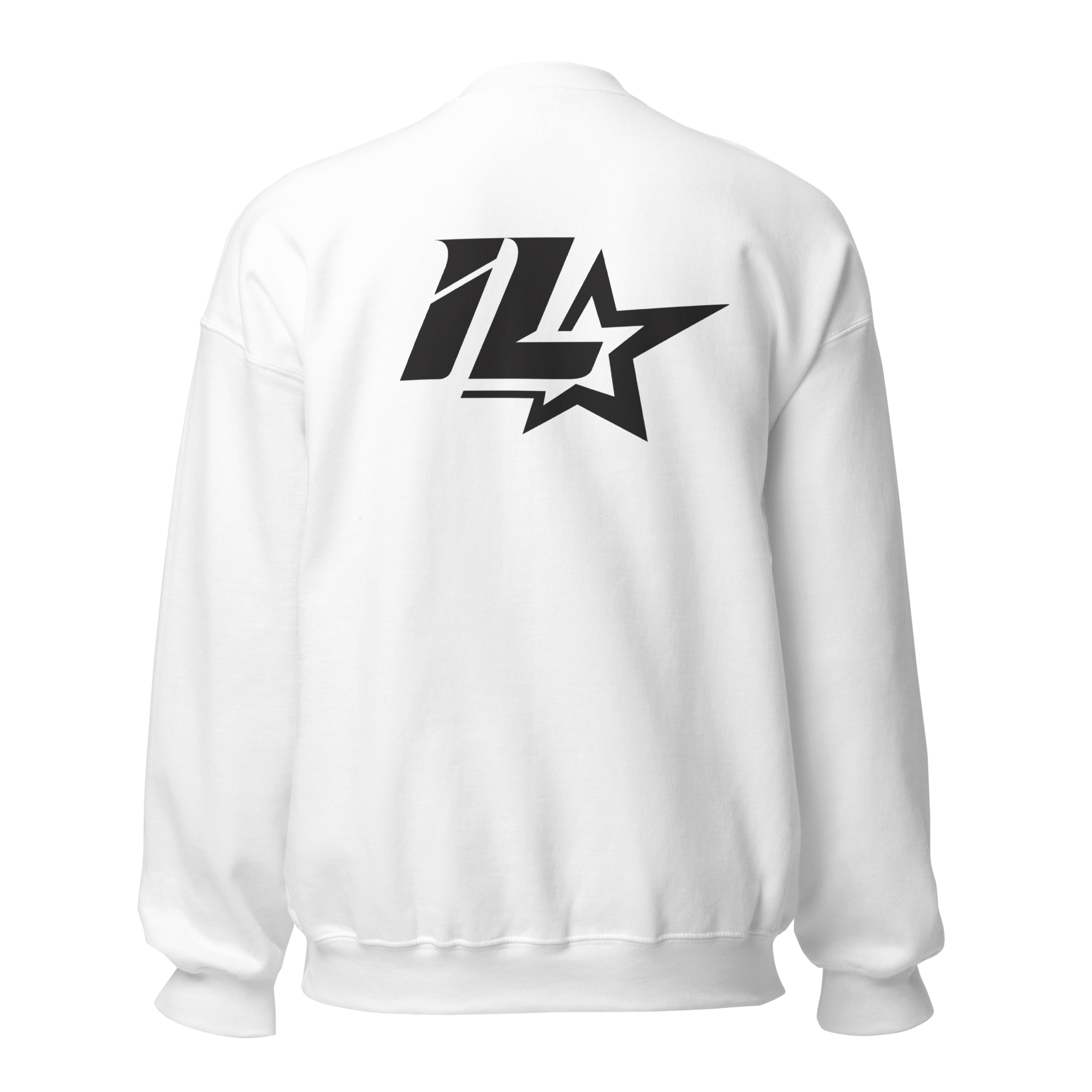 unisex-crew-neck-sweatshirt-white-back-69da8645b1cbf.png