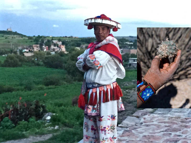Huichol shaman in traditional clothing, with an inset photograph of a hand holding a cactus