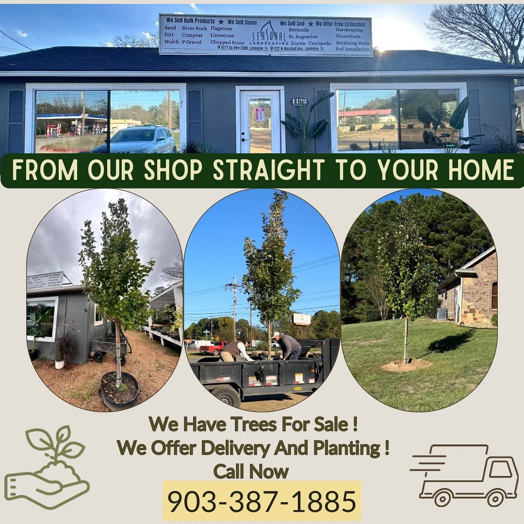 We Offer Tree Planting And Delivery 📞🏡