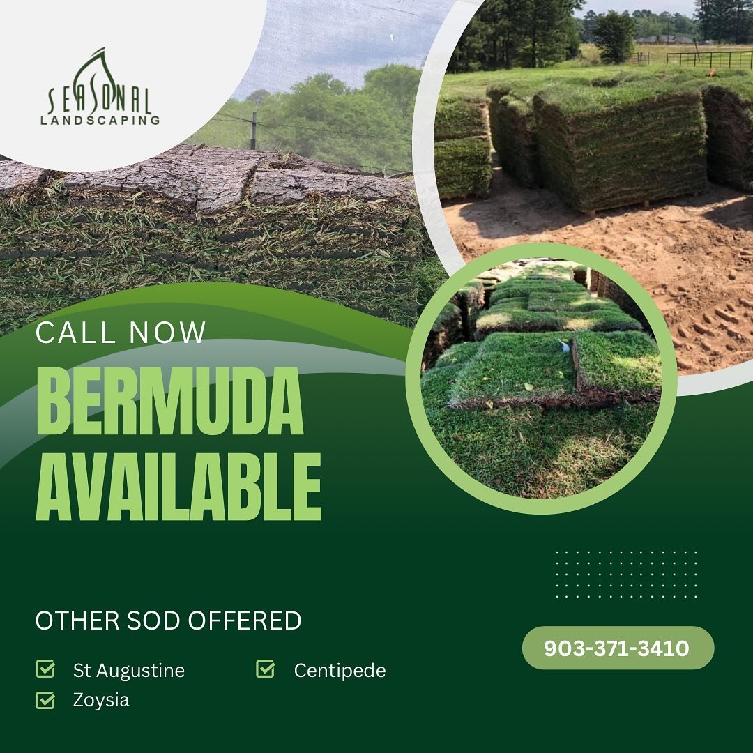 Call us now and order your sod ! 🌱
