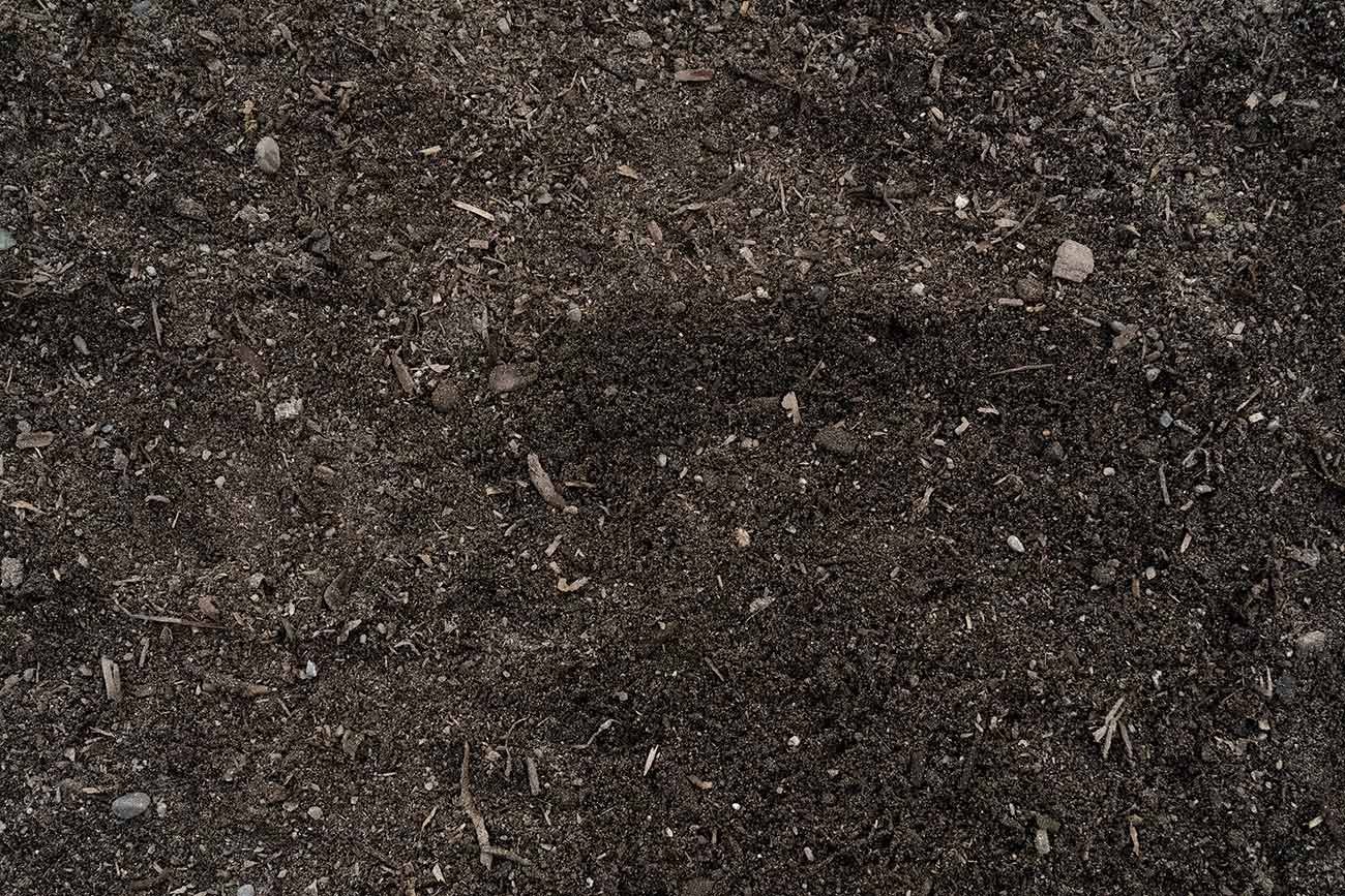 IMG_1575.jpeg
