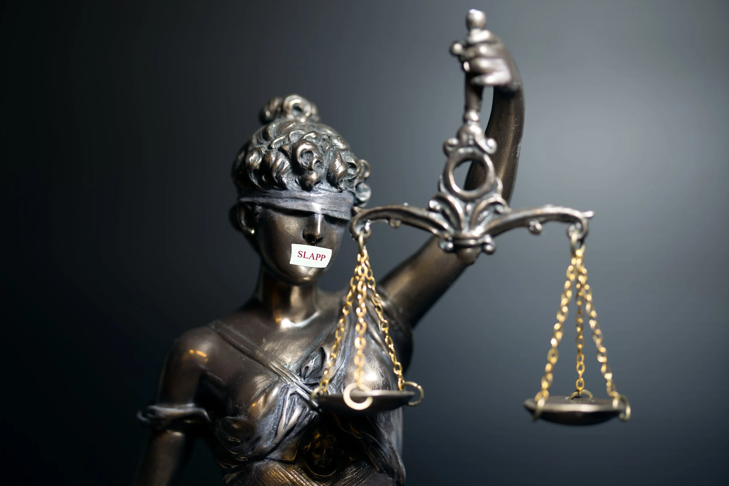 SLAPP.jpg
