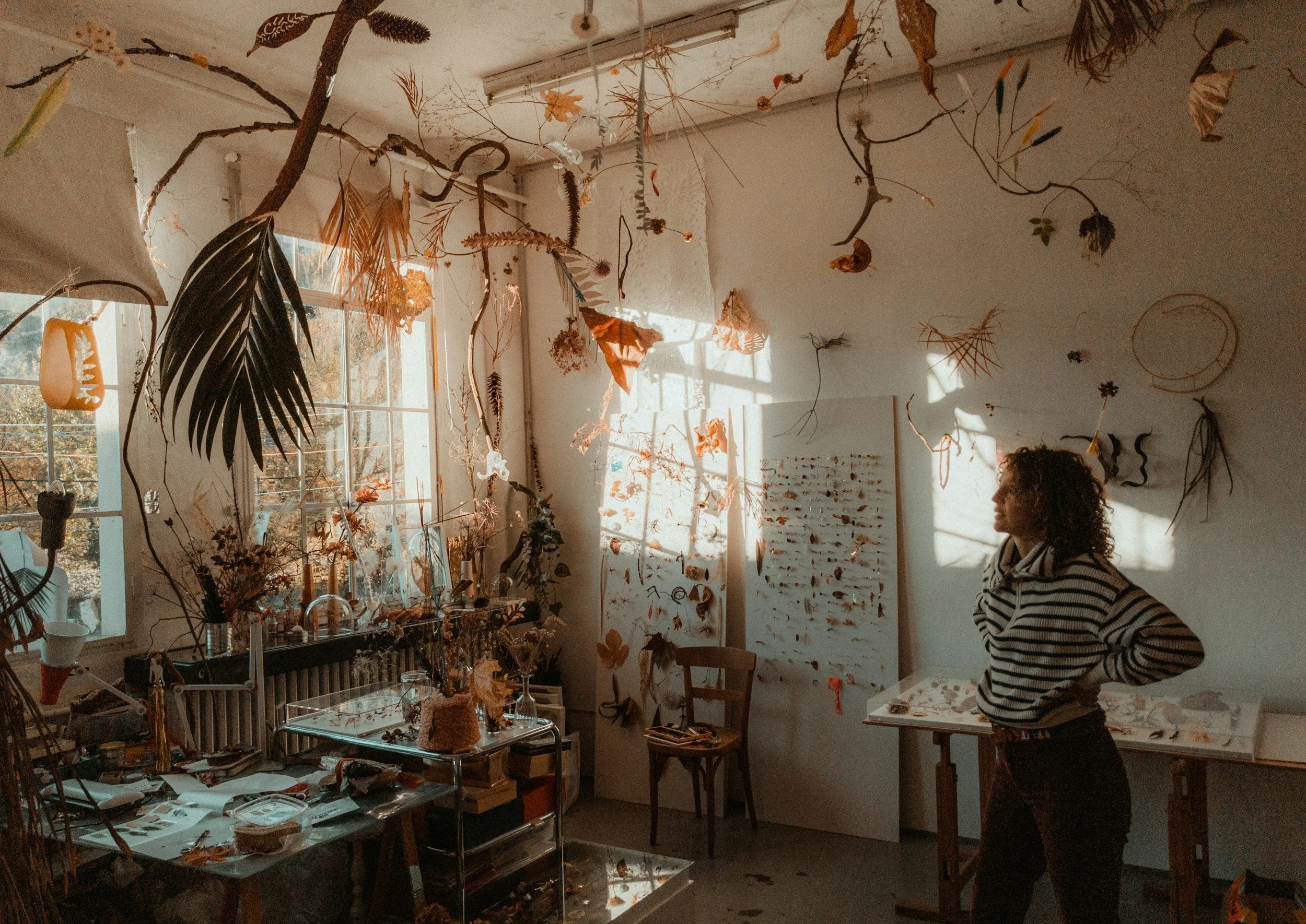 A woman in a striped shirt stands in a room decorated with hanging dried leaves, flowers, and branches. Sunlight streams through a window, casting shadows on the wall, which is adorned with various botanical displays. There are tables and chairs, and