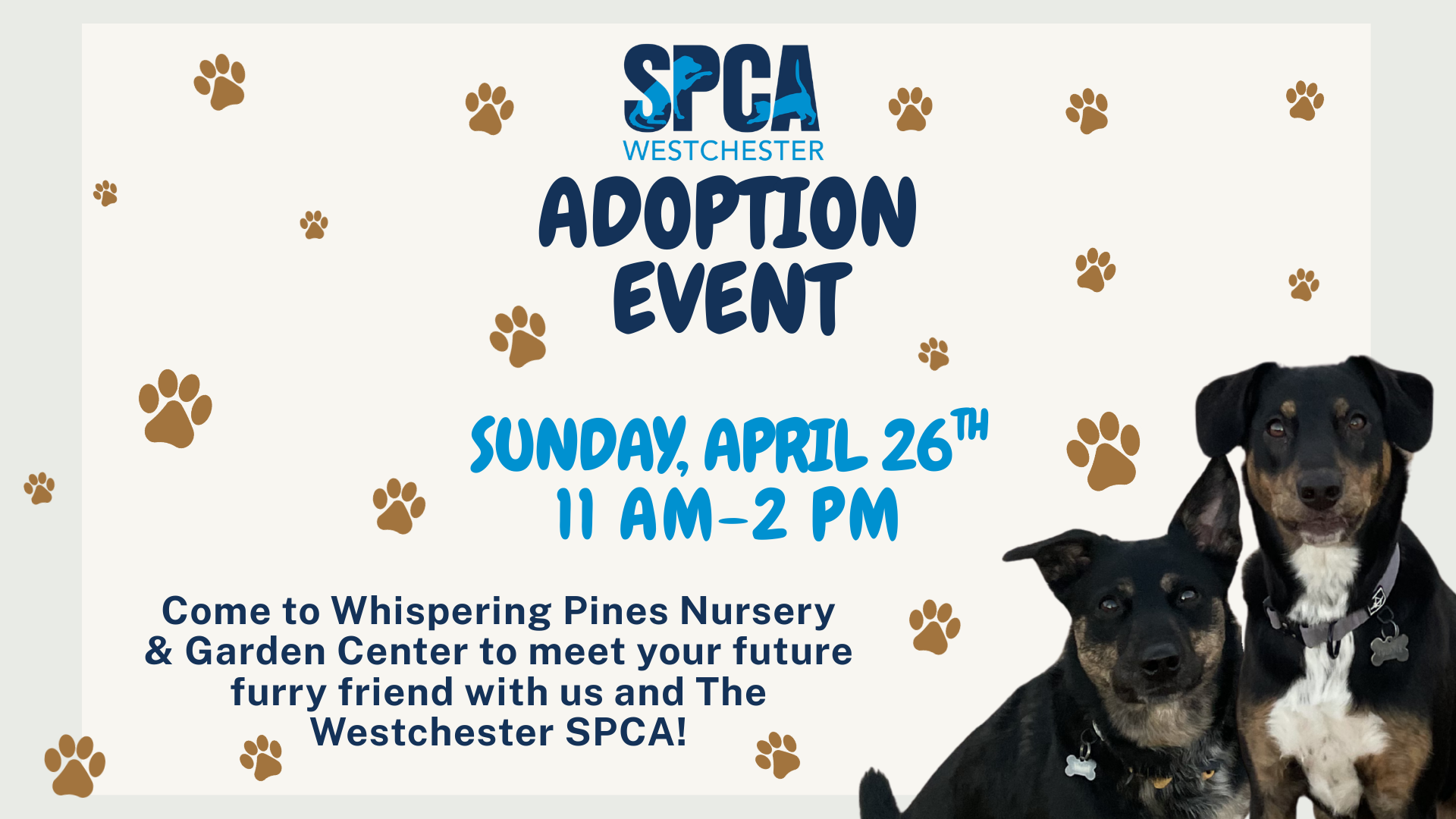 SPCA Adoption Event