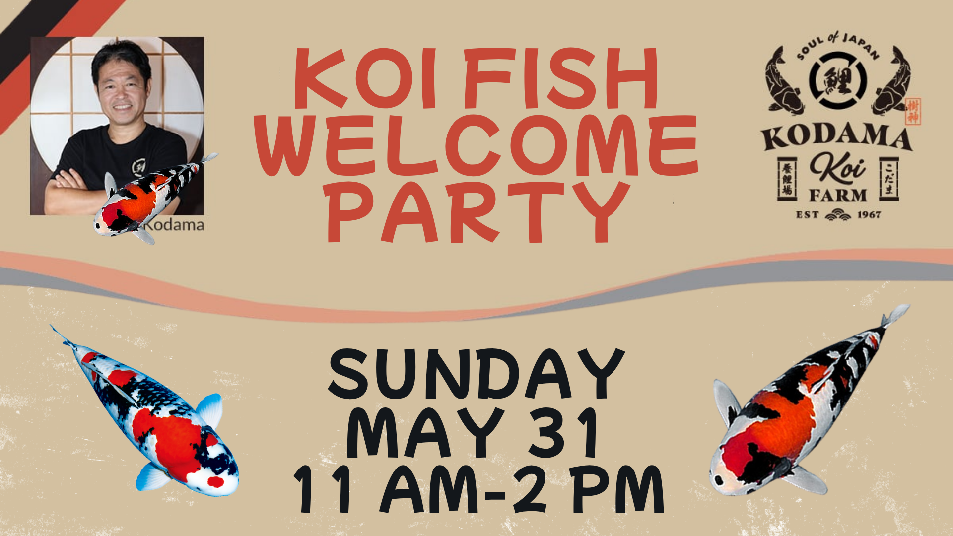 Koi Fish Welcome Party!