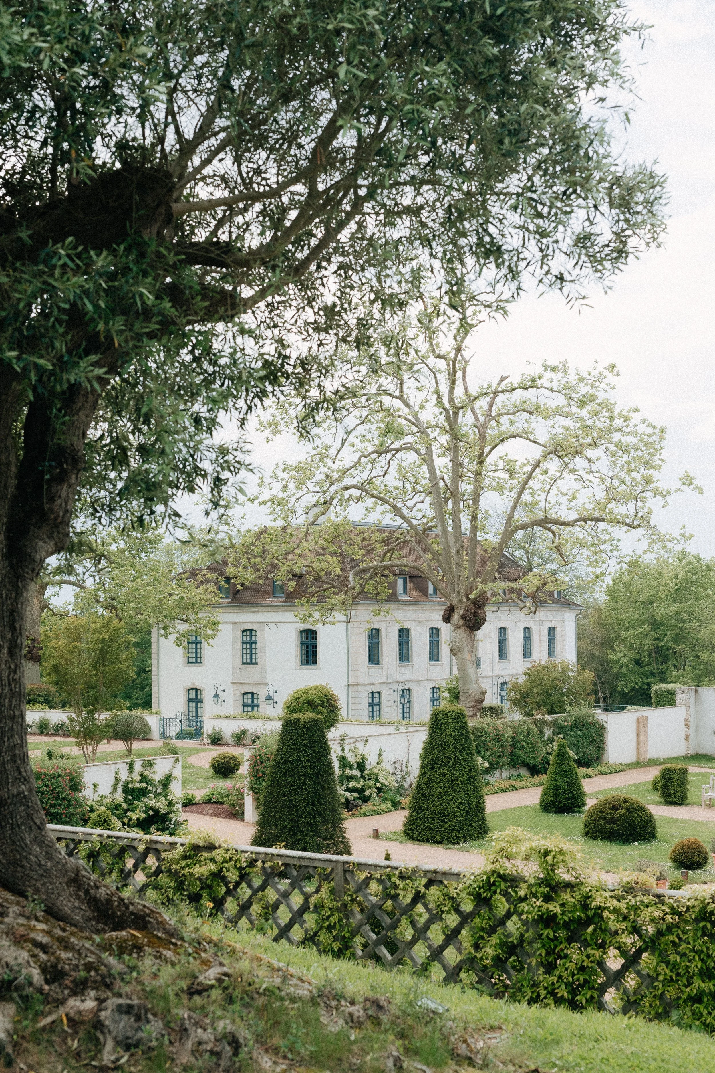 Une grande maison blanche avec plusieurs fenêtres, entourée d'un jardin bien entretenu avec des arbustes et des arbres, vue depuis une zone ombragée.