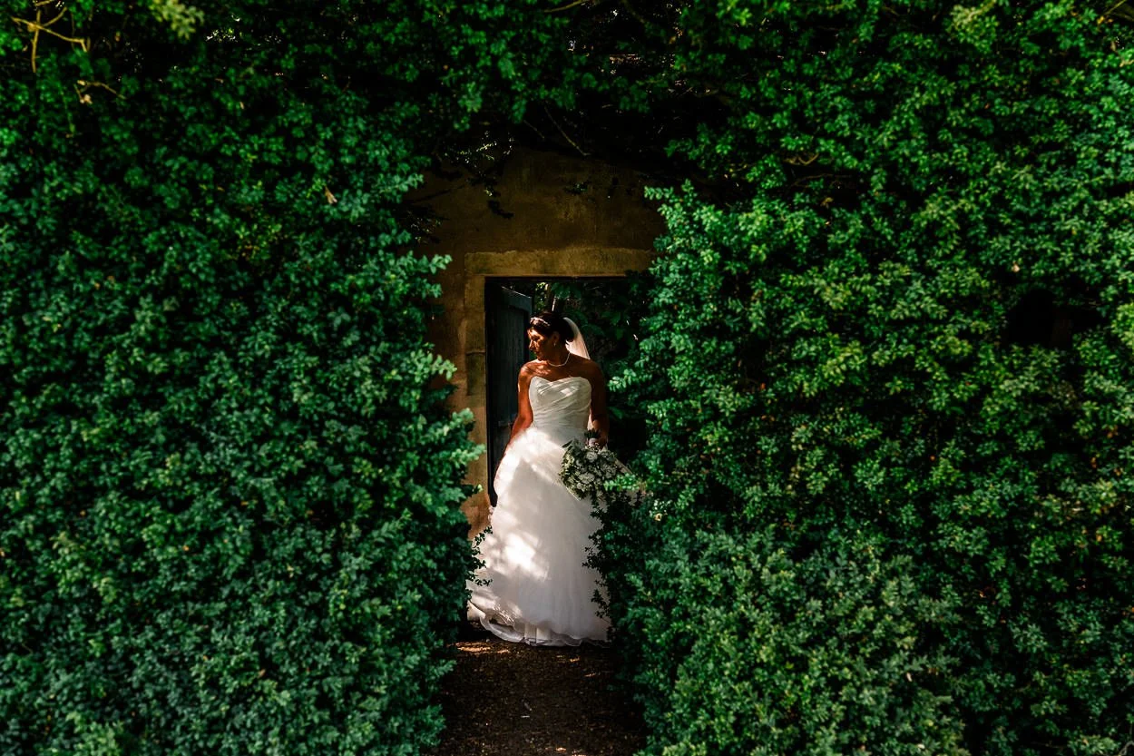 Bride portrait through a hedge with the light hitting her