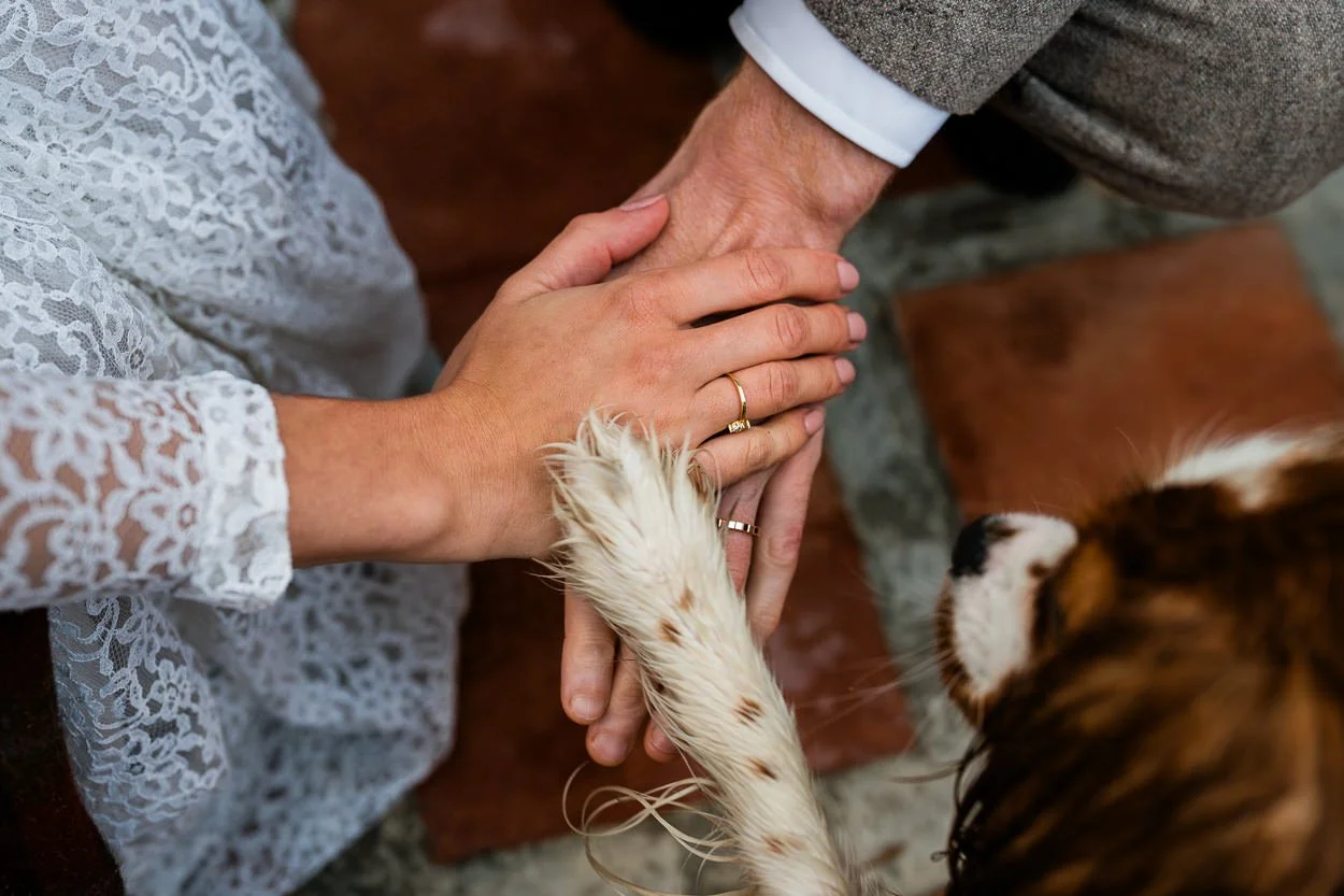Bride-groom-dog-putting-their-hands-and-paws-in