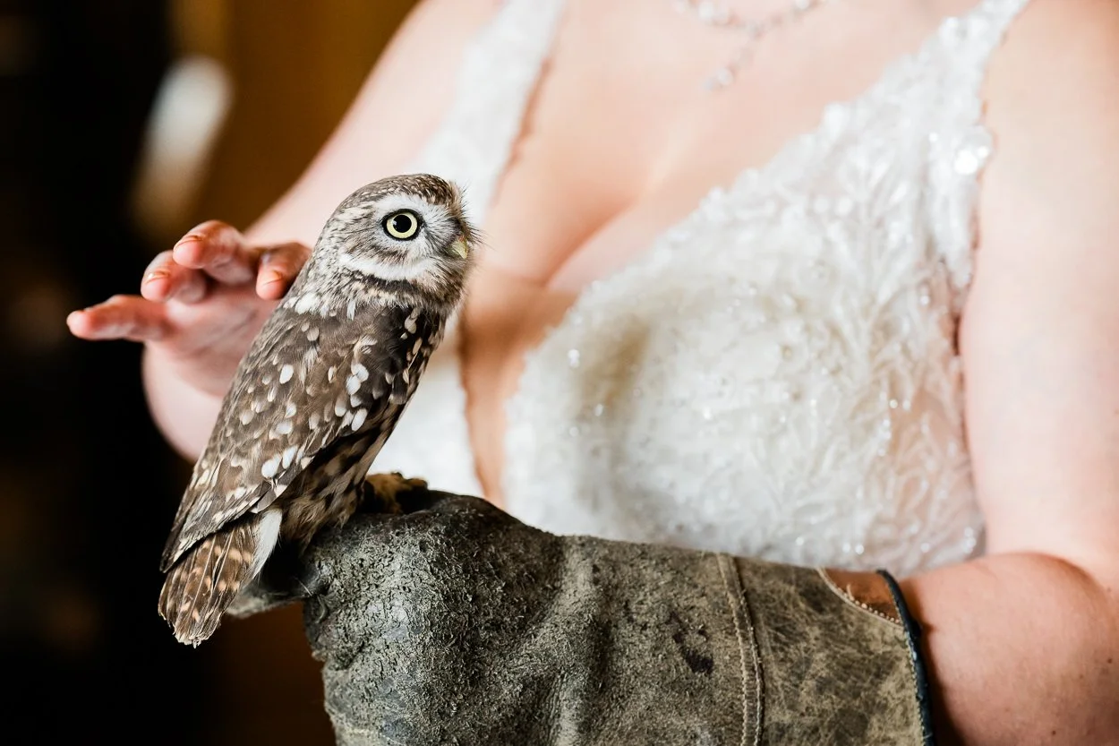 Bride holding an owl at Dalhousie Castle