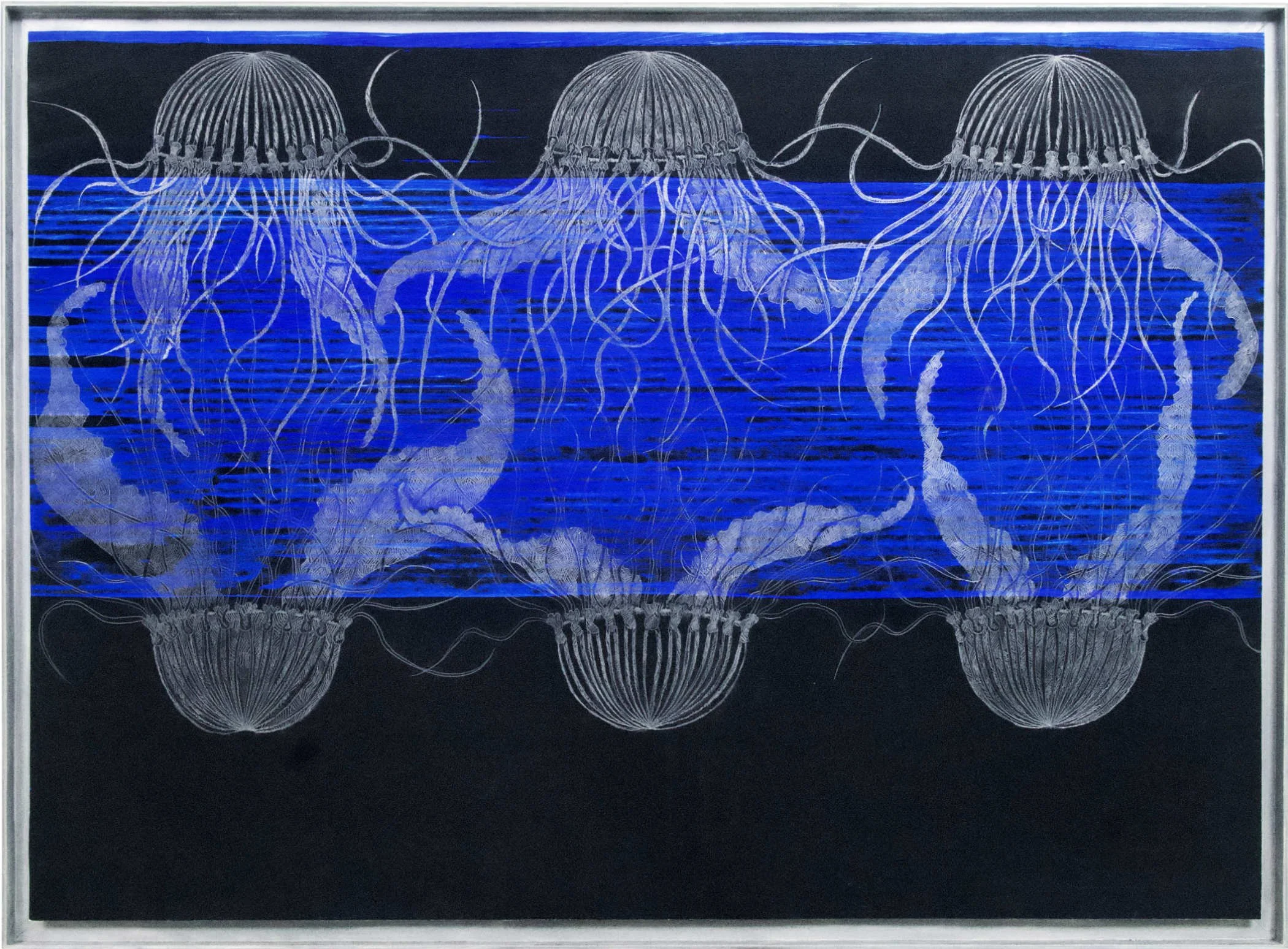 Quallenornament quer - 96 x 70cm Bleistift/Vinyl/Papier