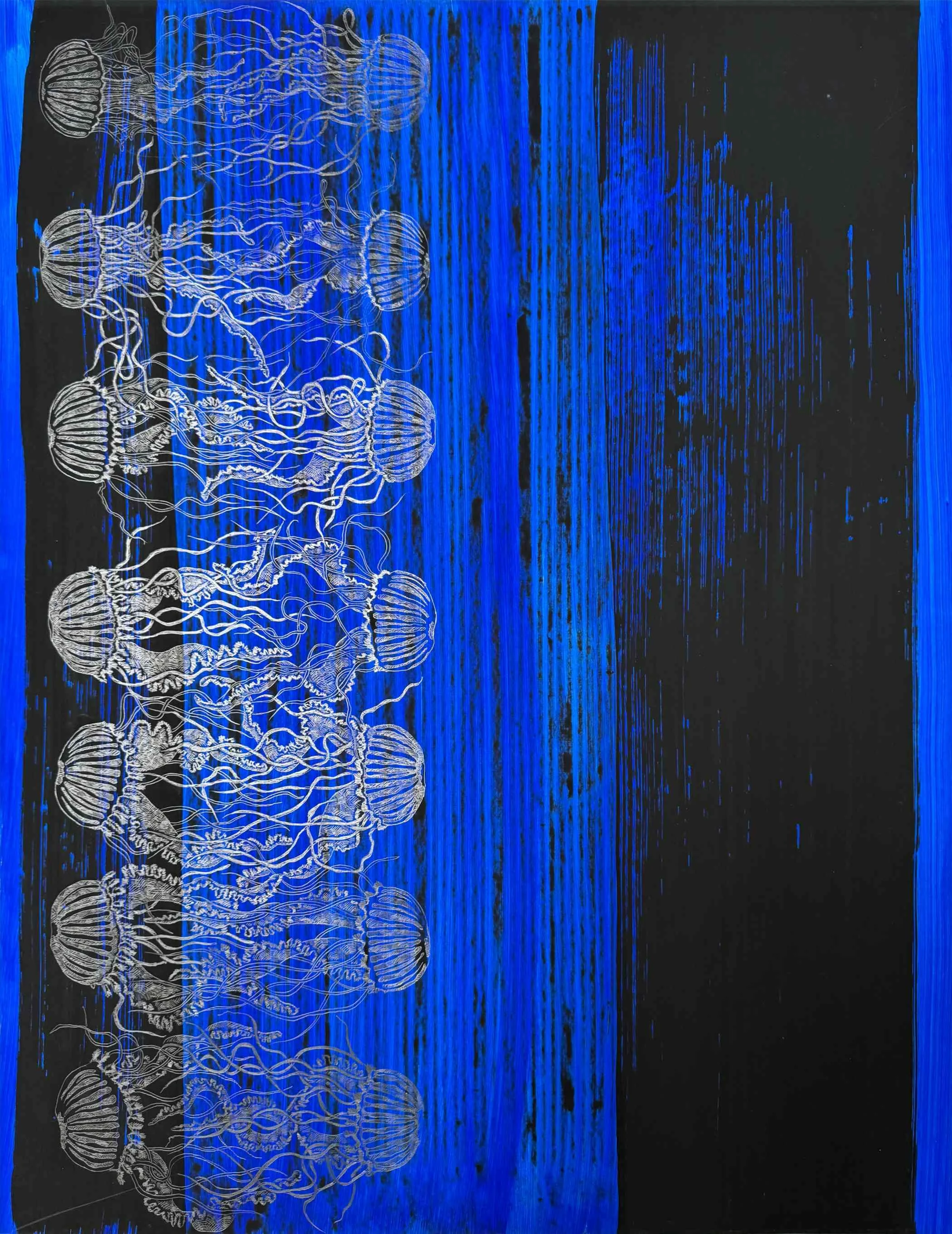 Quallenornament 1 - 72 x 96cm Bleistift/Vinyl/
Papier