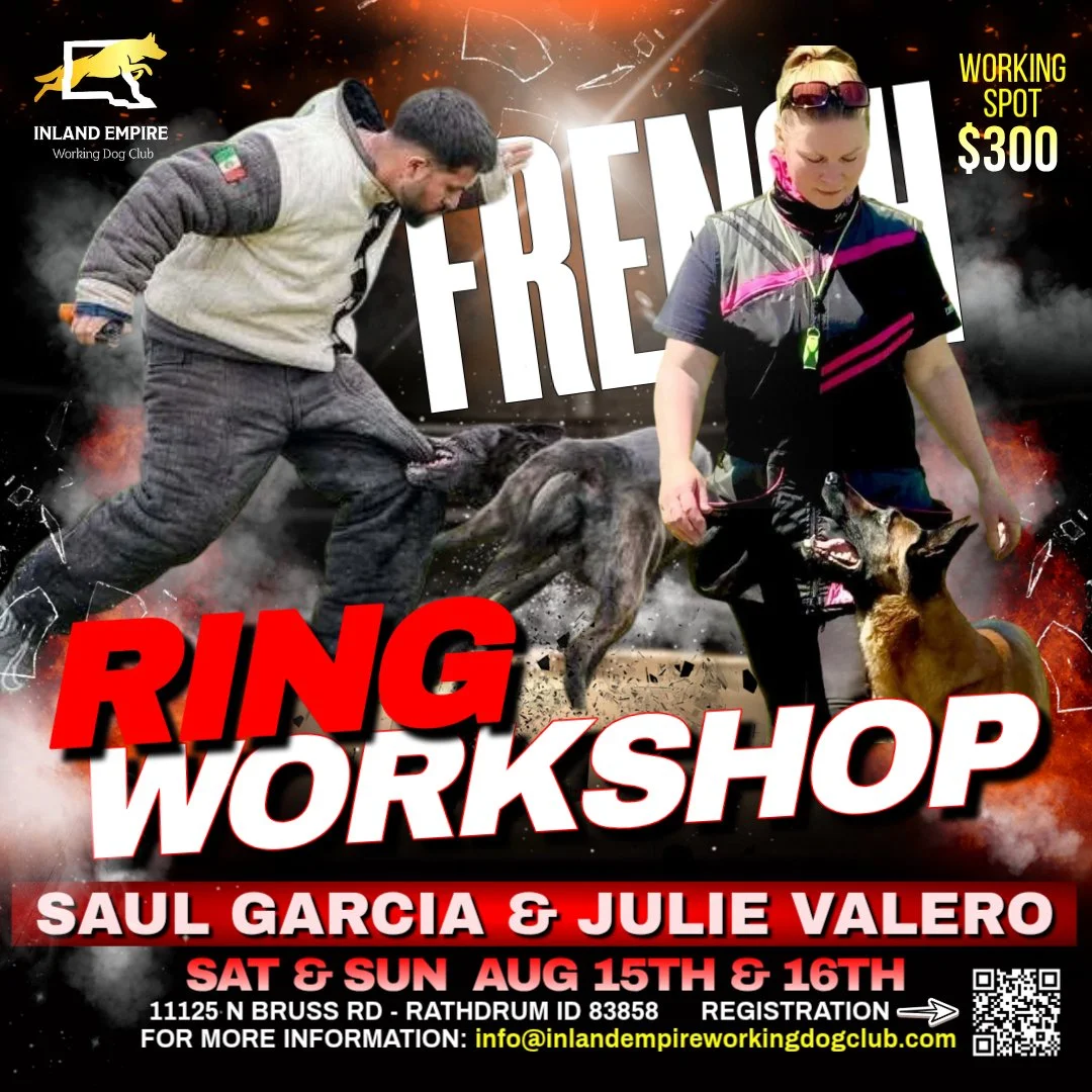 French Ring Sport Workshop with Saul Garcia &amp; Julie Valero