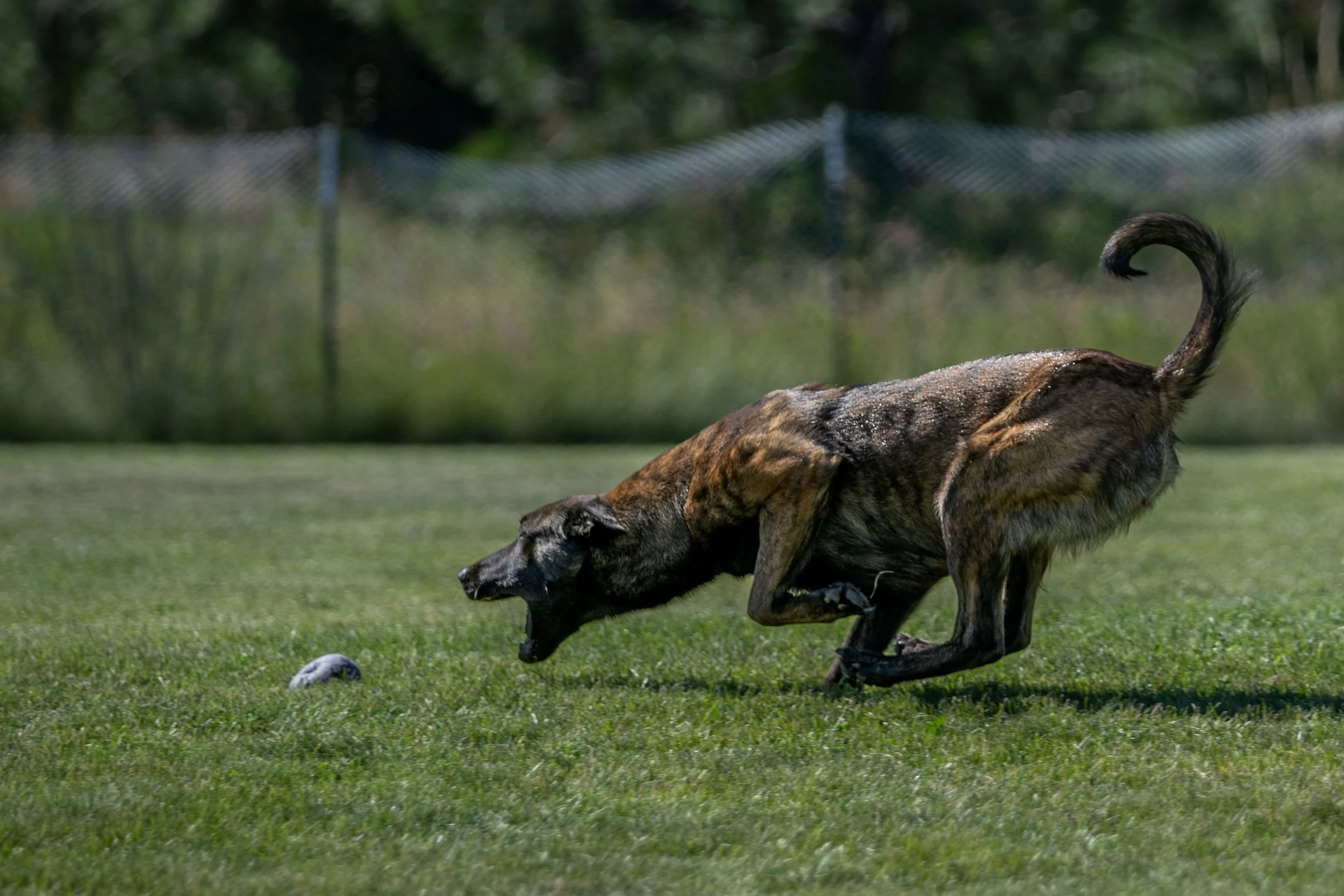 DSC_7264.jpg