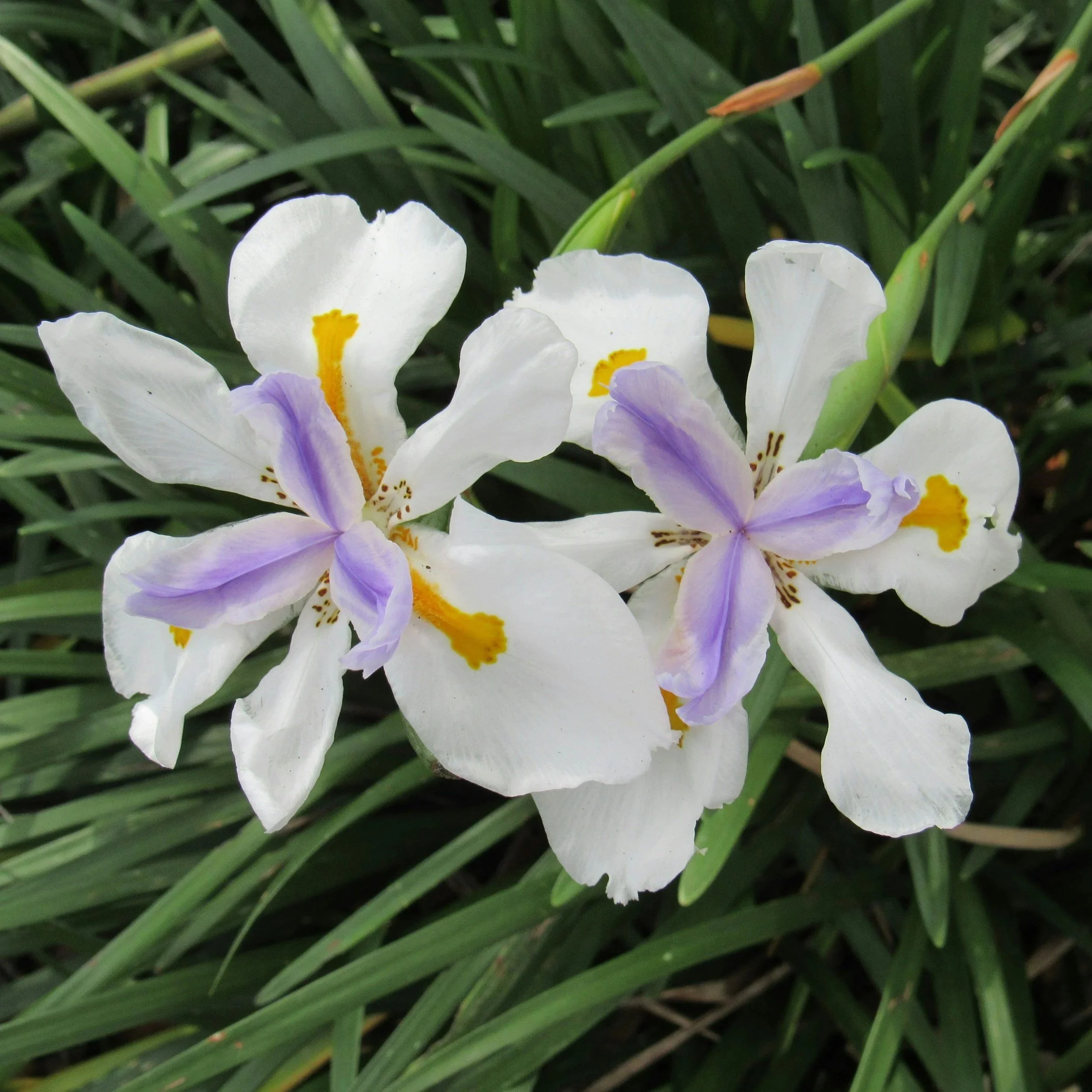 Newsletter November/December 2025