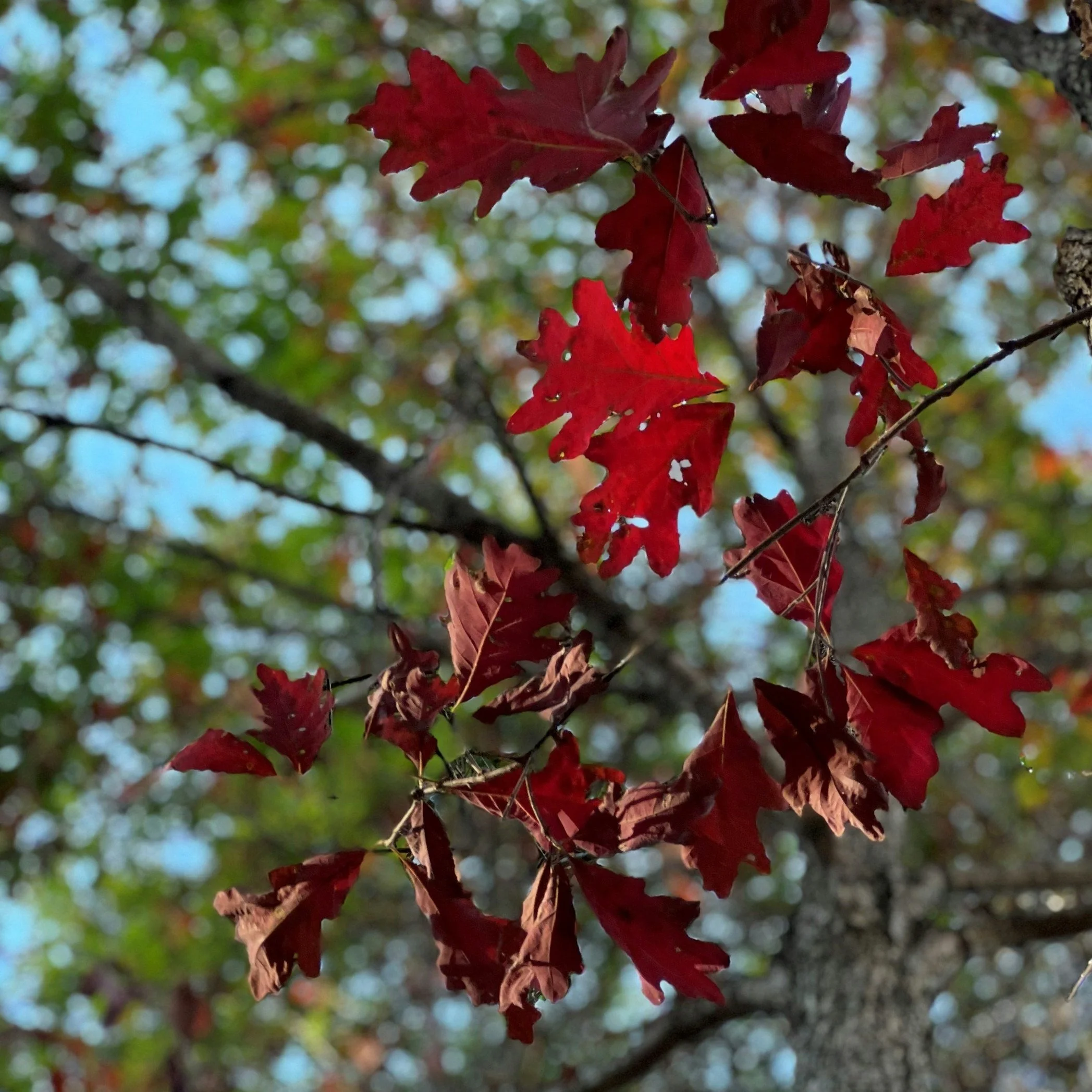 Newsletter April 2026