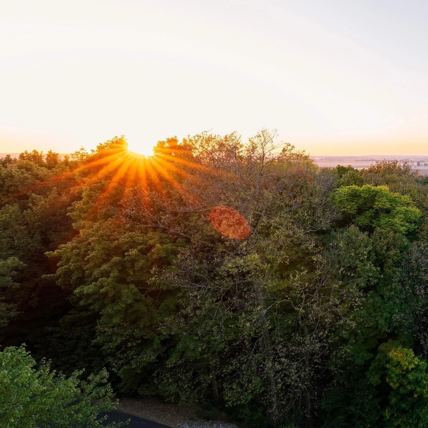 Savor the sunset.

#stlouis #florissant #missouri #river #landscape #nature #horizon #aerial #view #forest #autumn #fall #october #sunset #dusk #evening #lastlight #outdoors #peaceful #earth #augustineinstitute #midwest #panorama #sonya7iv #35mm