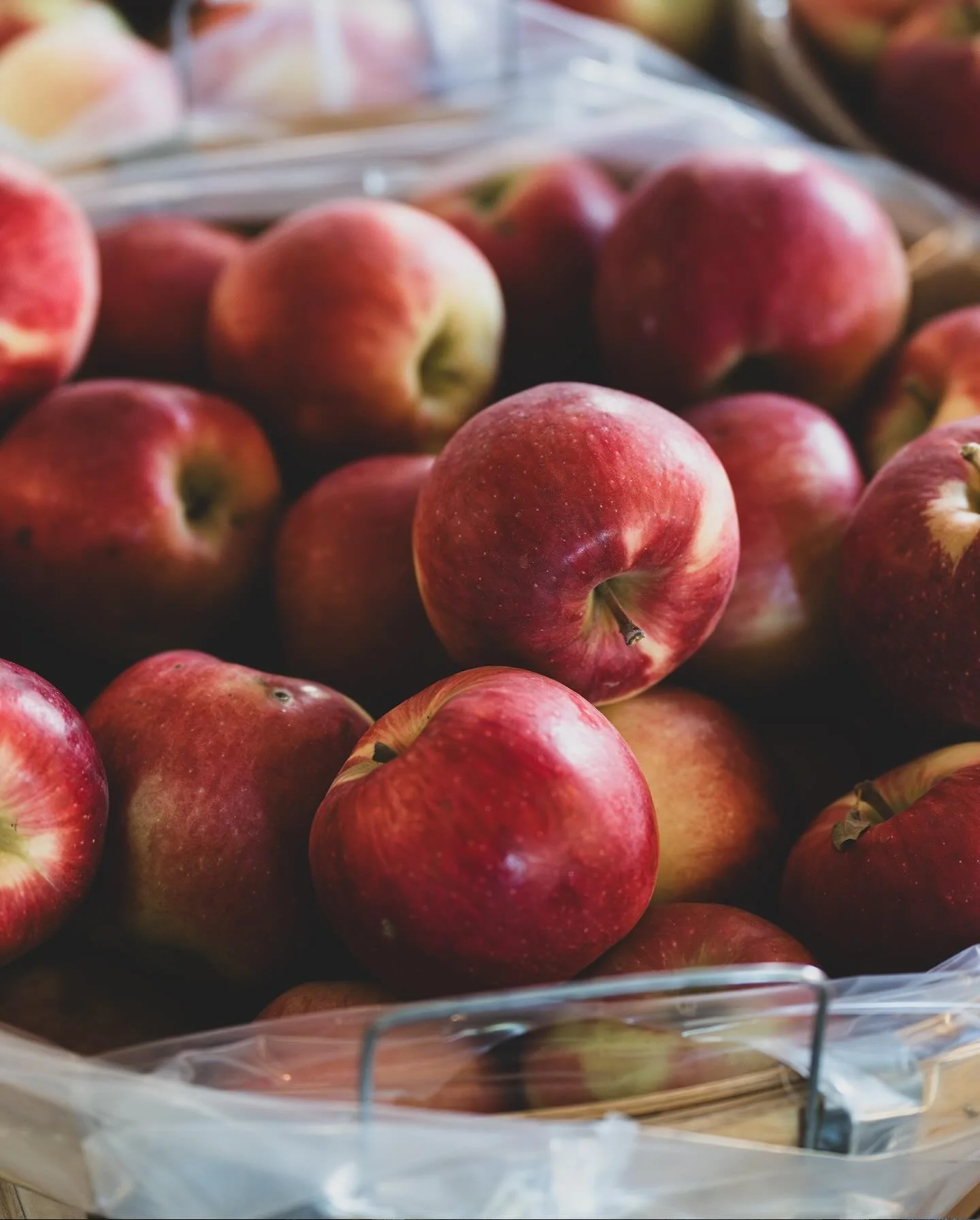 Good times at @hyscidermillmi trying some of the best apple cider and donuts in the world.

#cider #apples #cidermill #appleorchard #donuts #michigan #greatlakes #detroit #puremichigan #wonderland #fall #autumn #goodtimes #beautifulday #sunday
