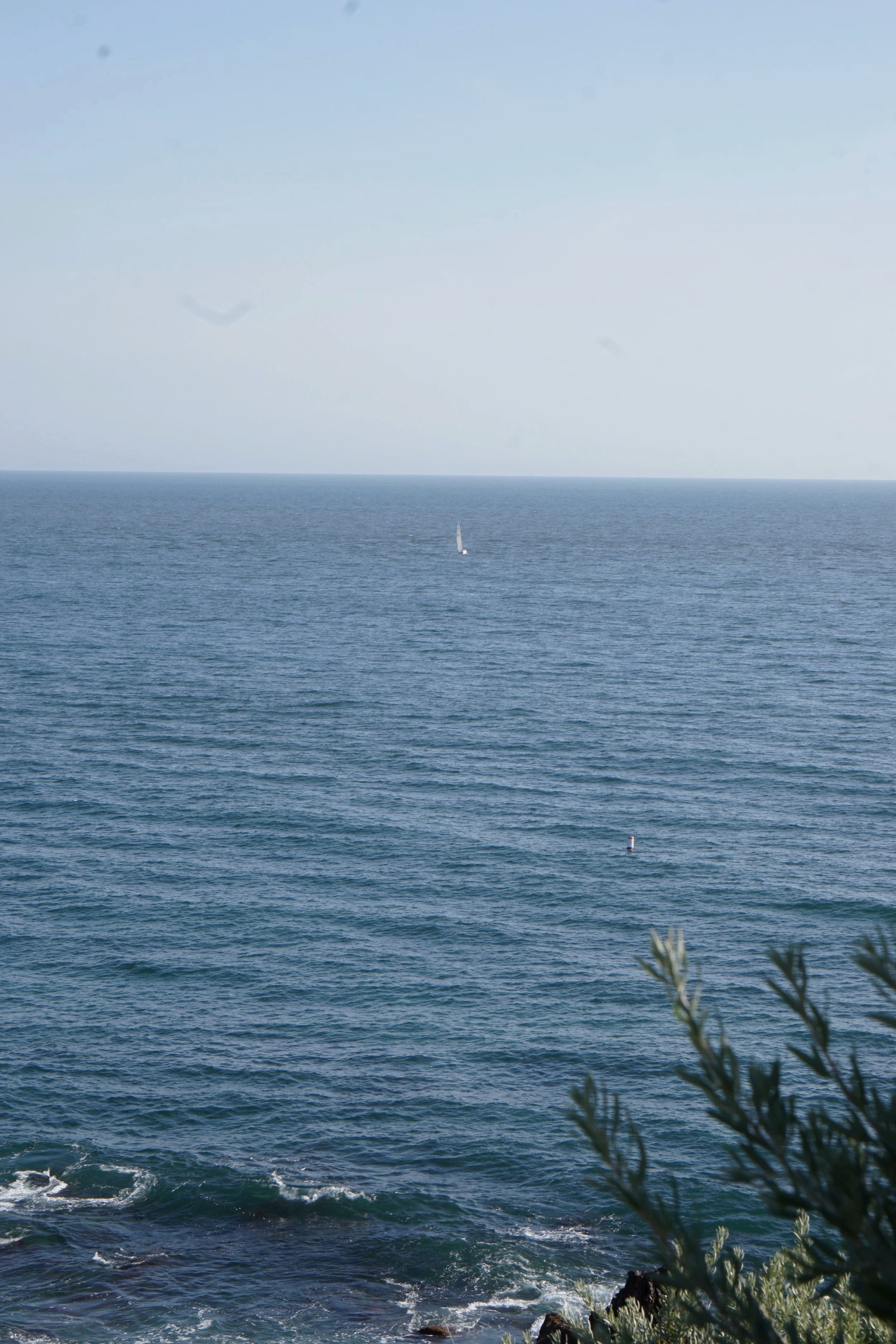 Welcome Rogue Enthusiast