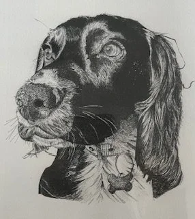 Pet portrait in pen and ink on A4 watercolour paper. Send Donna a good quality image of your pet and she will create a beautiful drawing for you.
